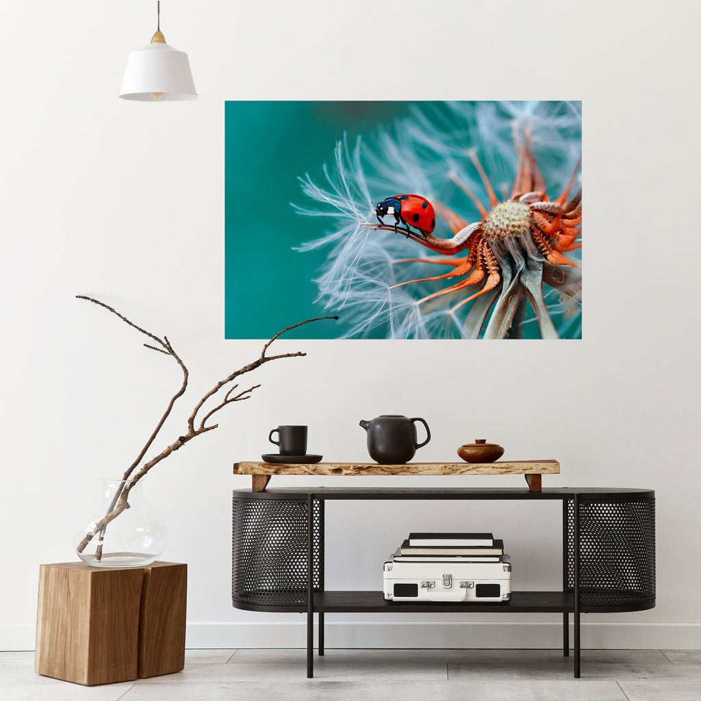 Affiche horizontale autocollante LADYBUG BALANCE