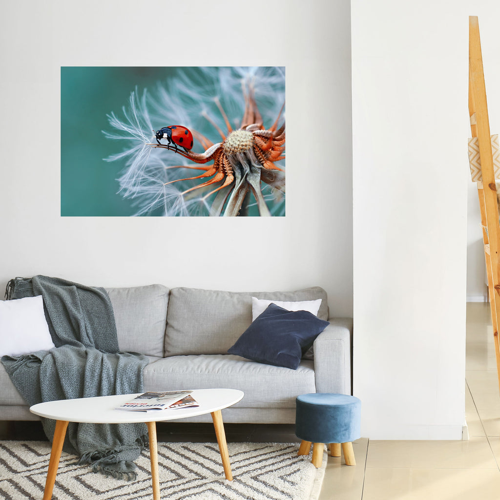 Affiche horizontale autocollante LADYBUG BALANCE