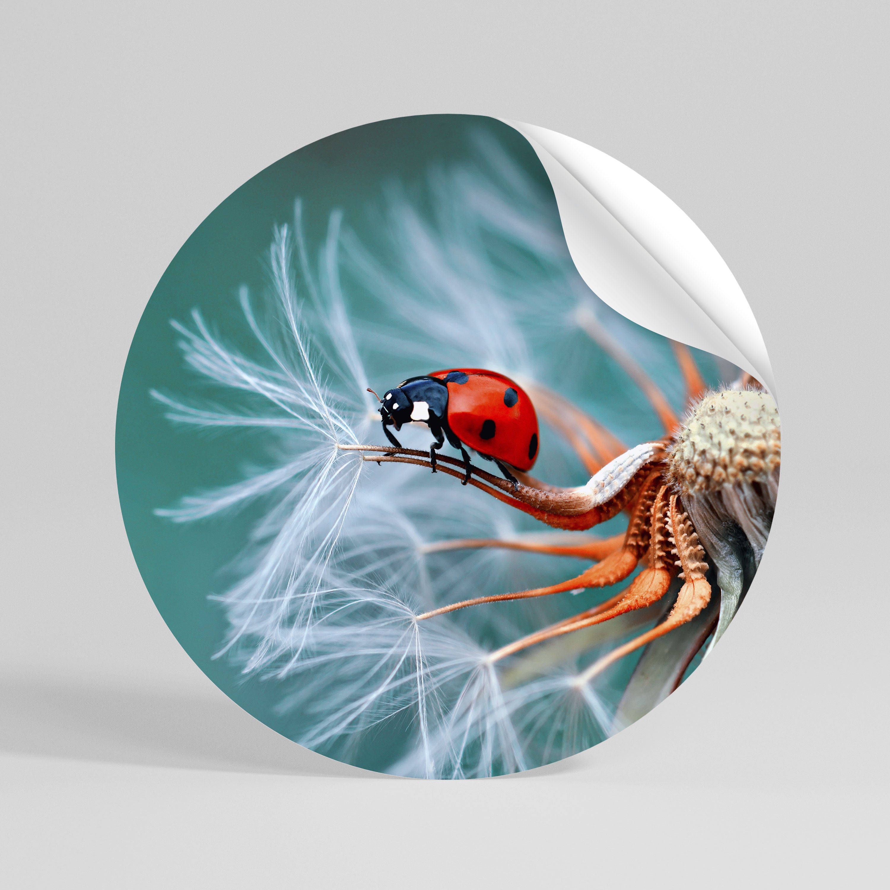 LADYBUG BALANCE Peel and Stick Round Sticker