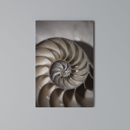 WHISPERS OF SHELLS Vertical Canvas Print