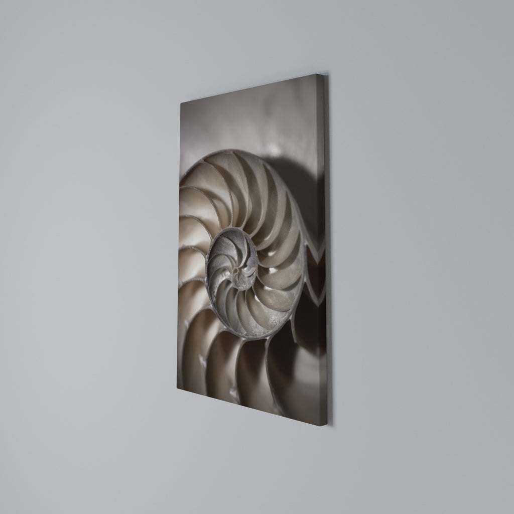 WHISPERS OF SHELLS Vertical Canvas Print