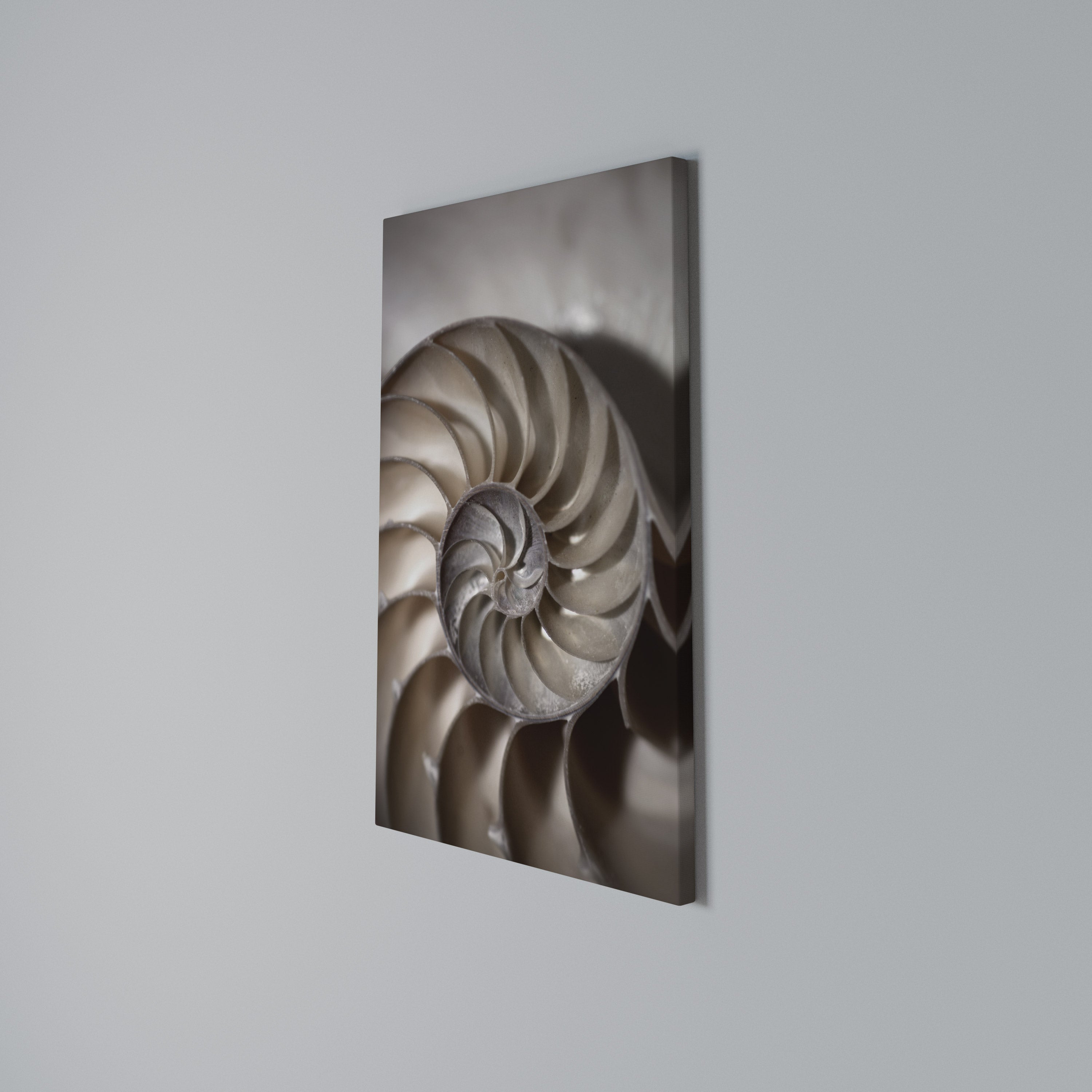 WHISPERS OF SHELLS Vertical Canvas Print