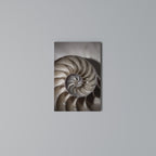 WHISPERS OF SHELLS Vertical Canvas Print