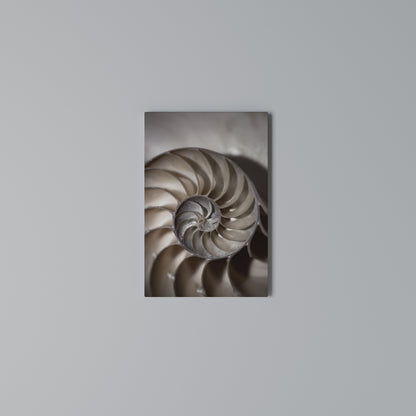 WHISPERS OF SHELLS Vertical Canvas Print