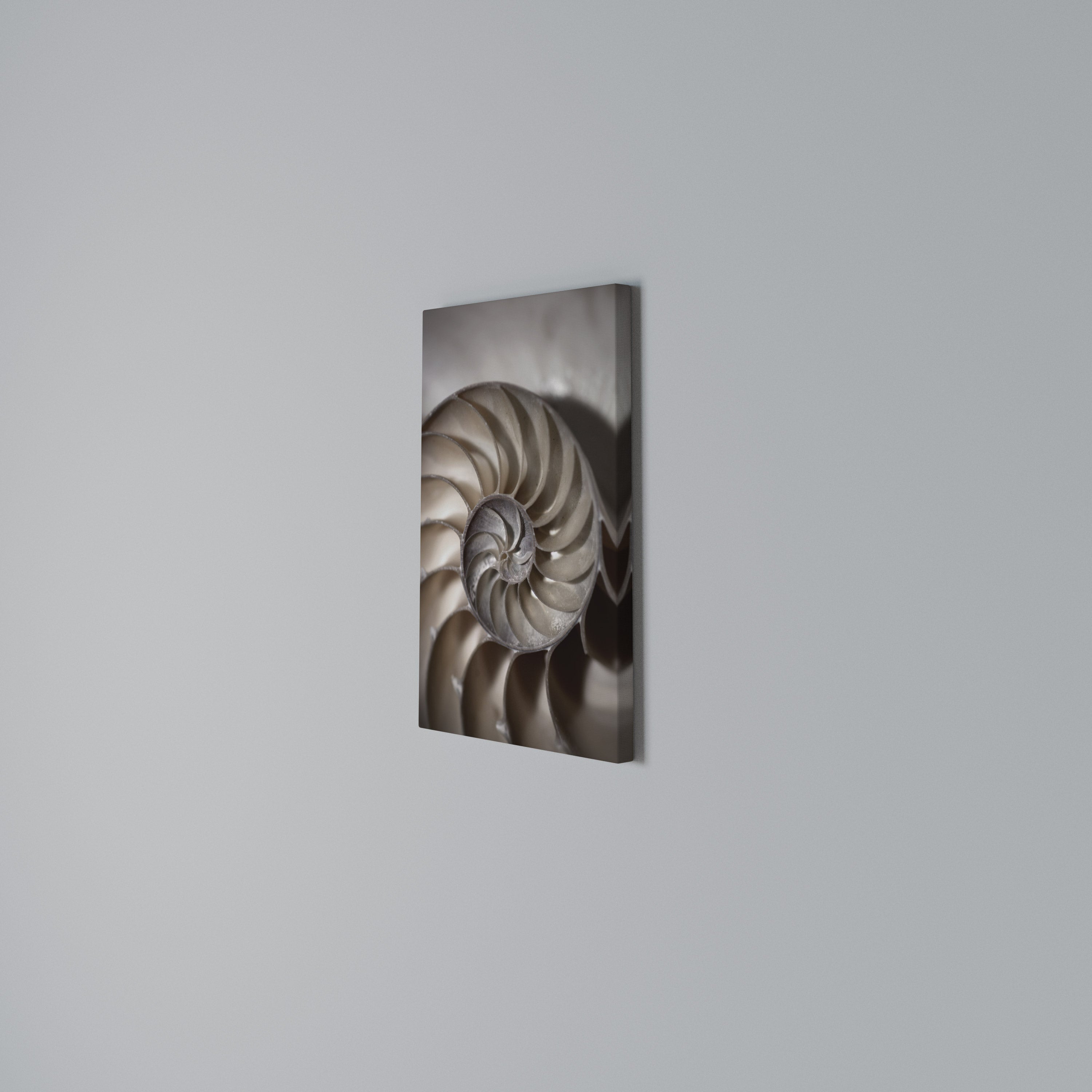 WHISPERS OF SHELLS Vertical Canvas Print