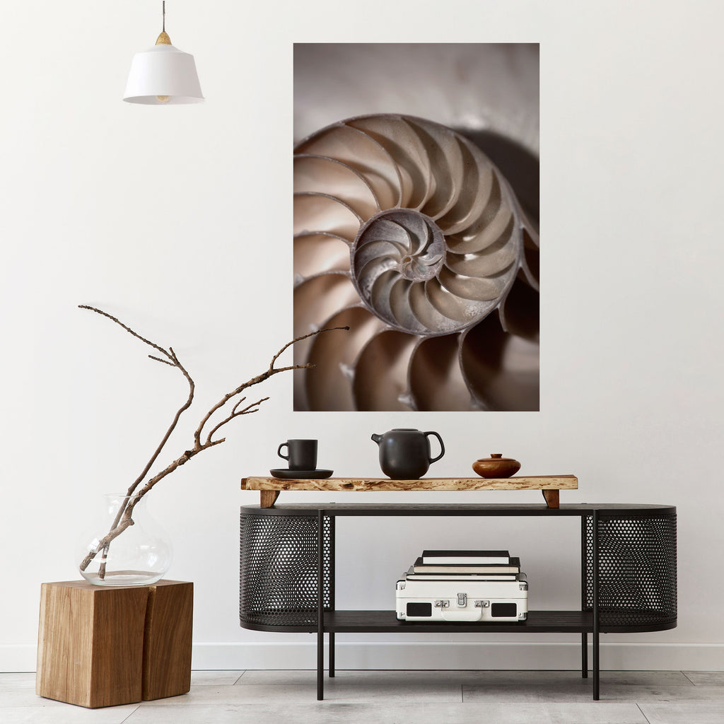Affiche verticale autocollante « WHISPERS OF SHELLS »