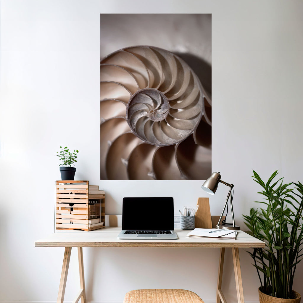 Affiche verticale autocollante « WHISPERS OF SHELLS »