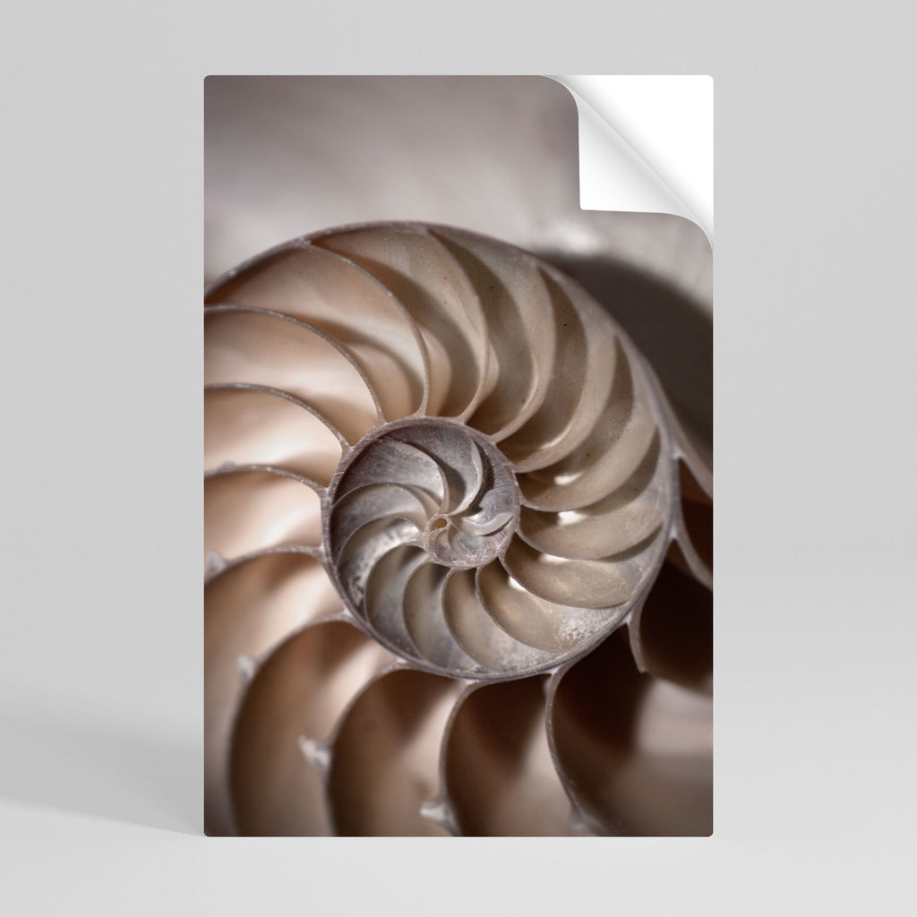 Affiche verticale autocollante « WHISPERS OF SHELLS »