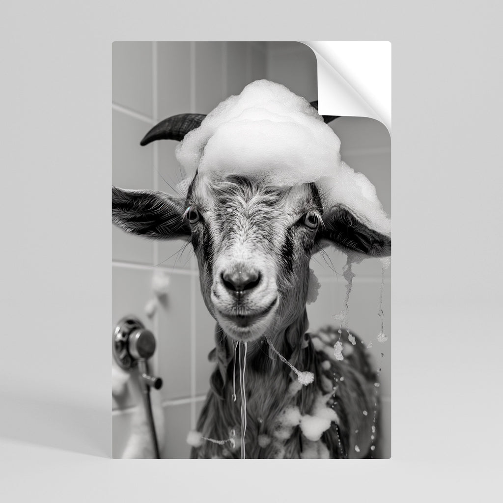 Affiche verticale autocollante « SOAPY GOAT GIGGLES »