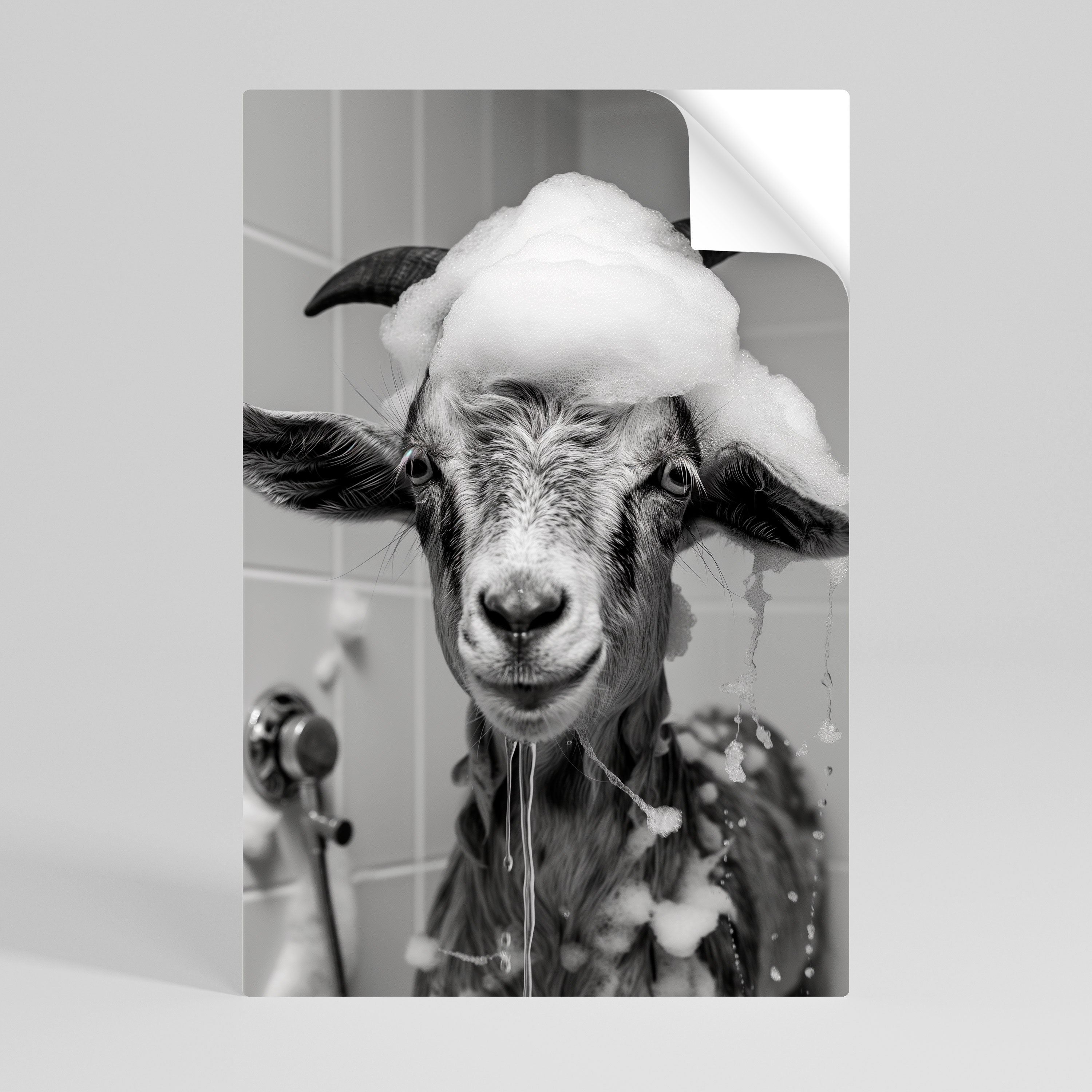 Affiche verticale autocollante « SOAPY GOAT GIGGLES »