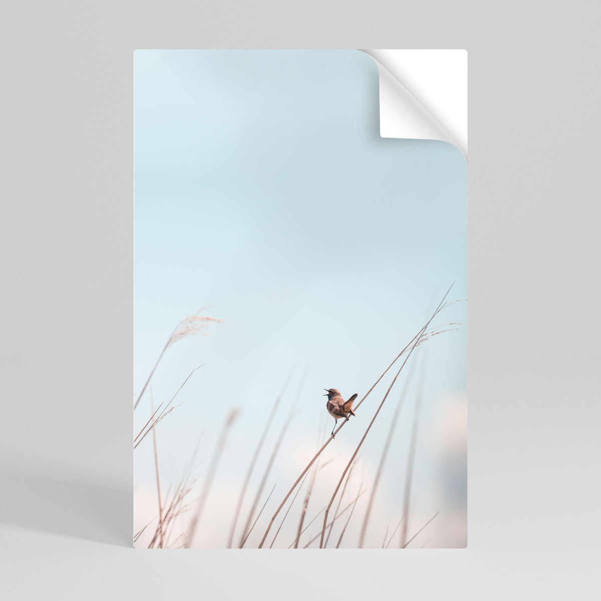 NATURE'S CHORUS Peel and Stick Vertical Poster