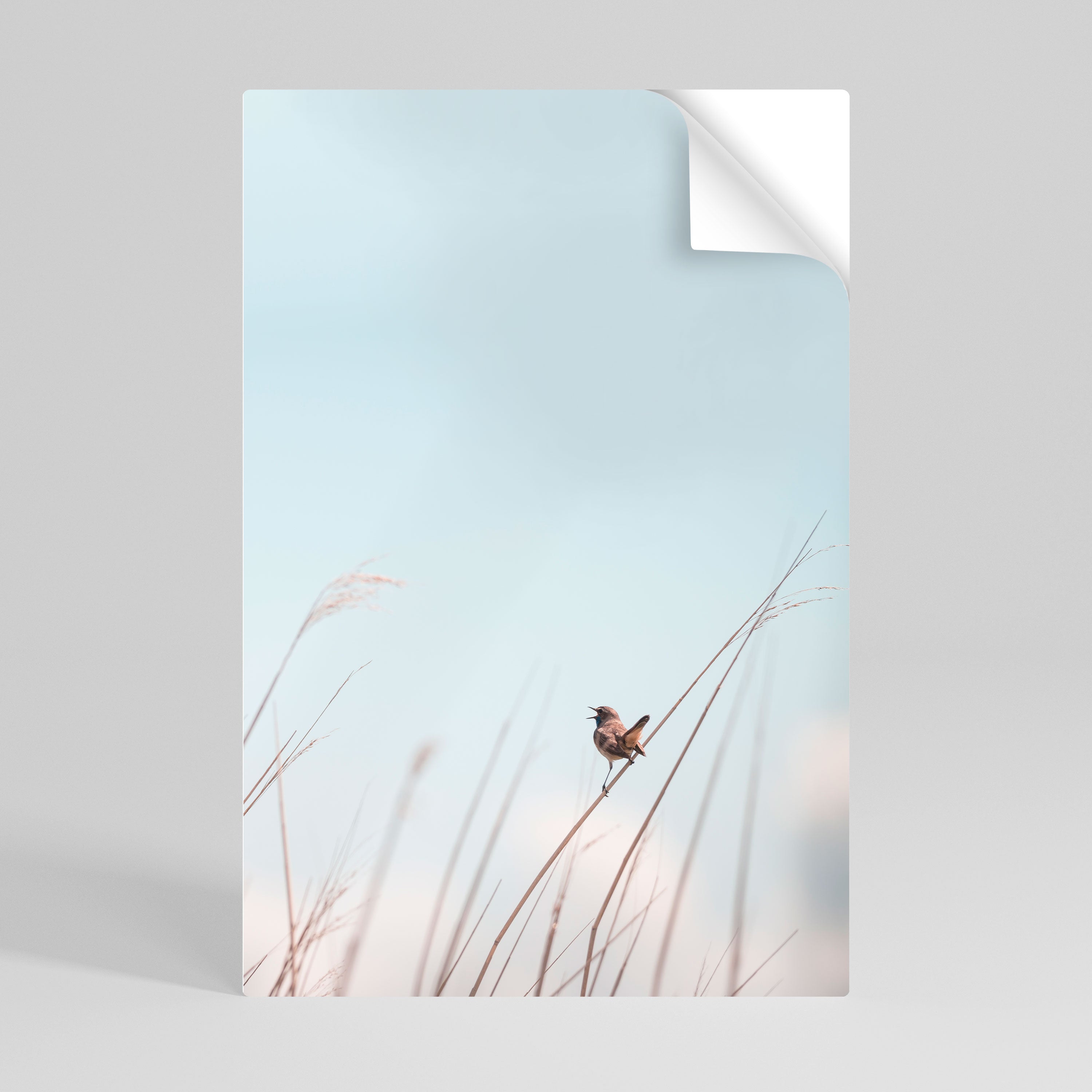 NATURE'S CHORUS Peel and Stick Vertical Poster