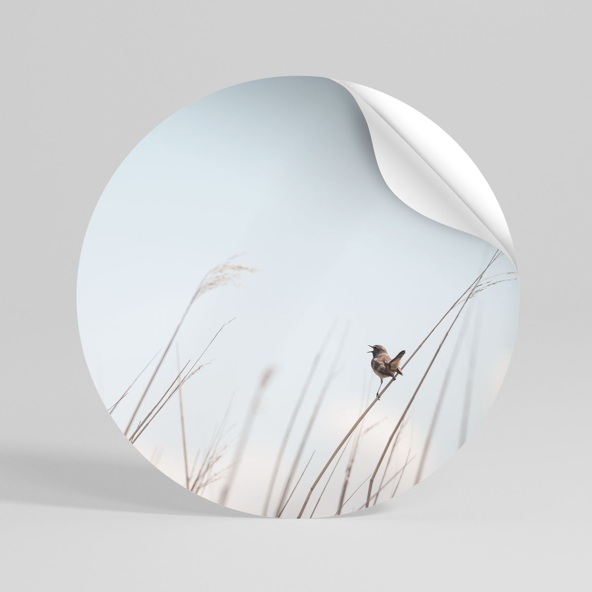 NATURE'S CHORUS Peel and Stick Round Sticker