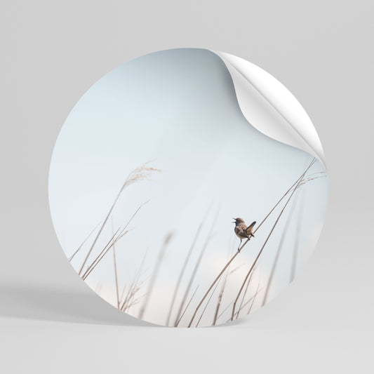 NATURE'S CHORUS Peel and Stick Round Sticker