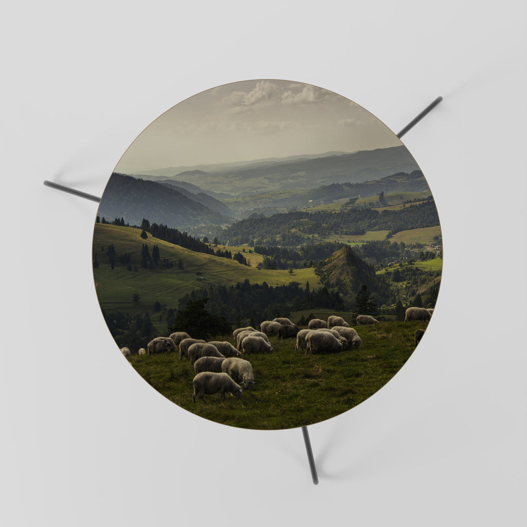 SHEEP IN SERENITY Coffee Table 60