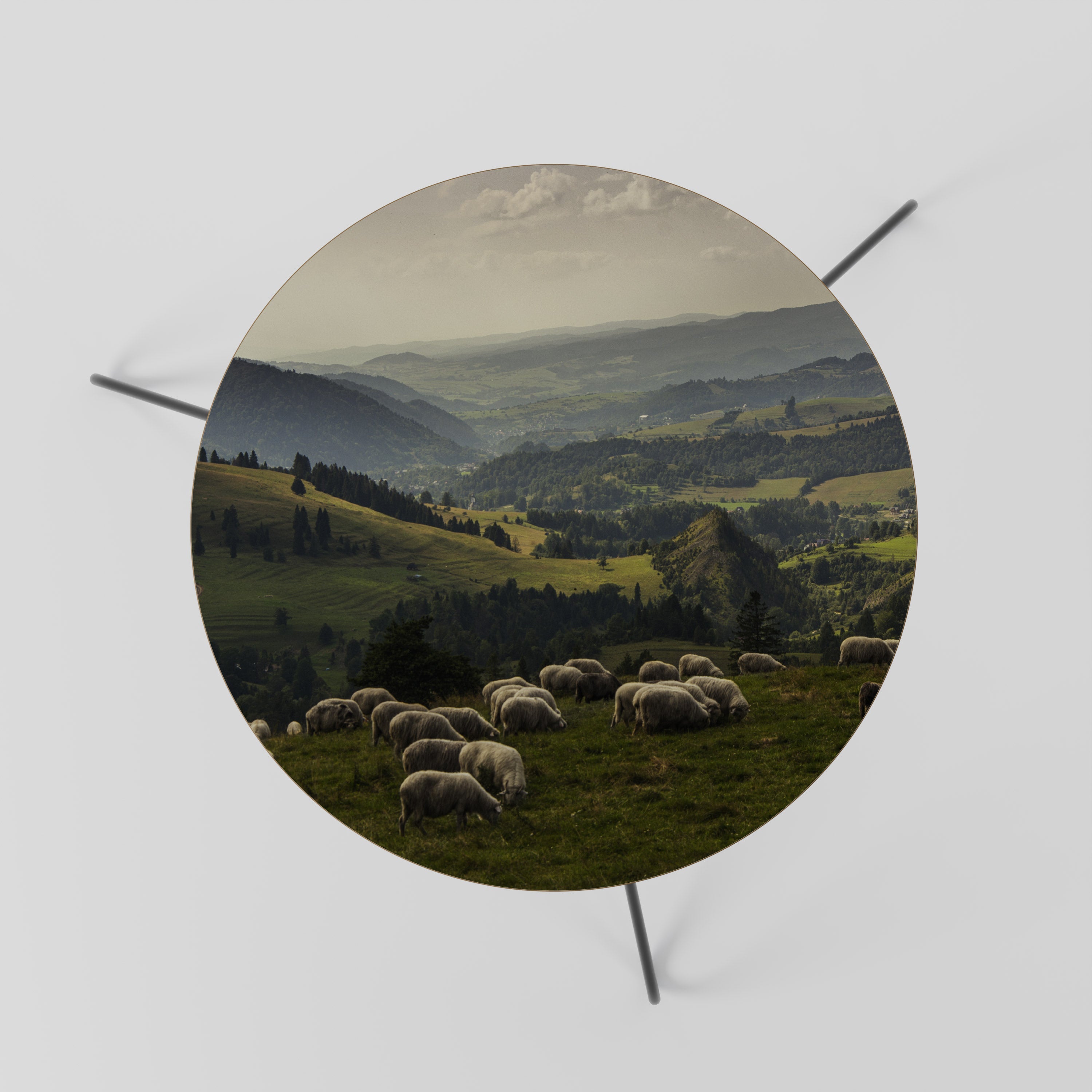 Table basse SHEEP IN SERENITY 60