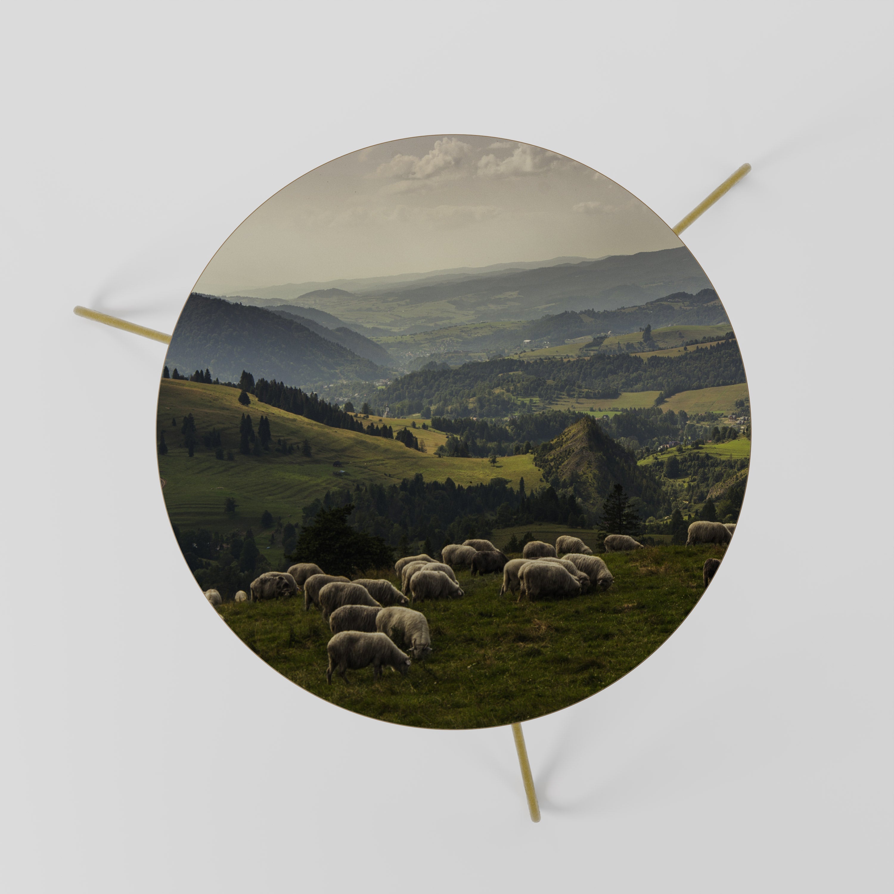 Table basse SHEEP IN SERENITY 60