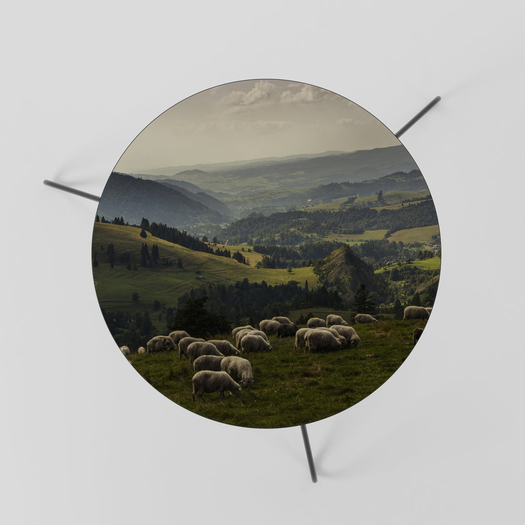 SHEEP IN SERENITY Coffee Table 60