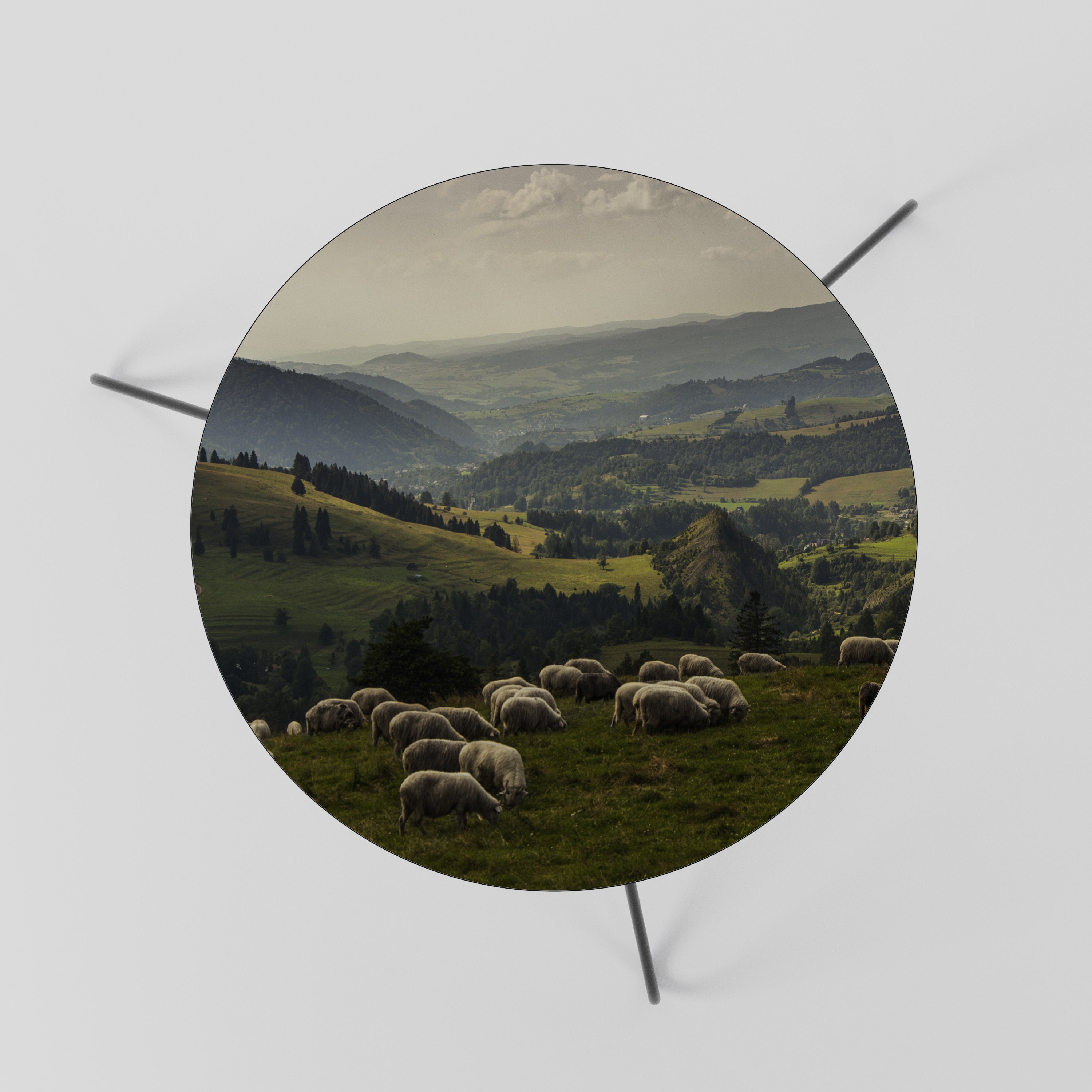 Table basse SHEEP IN SERENITY 60