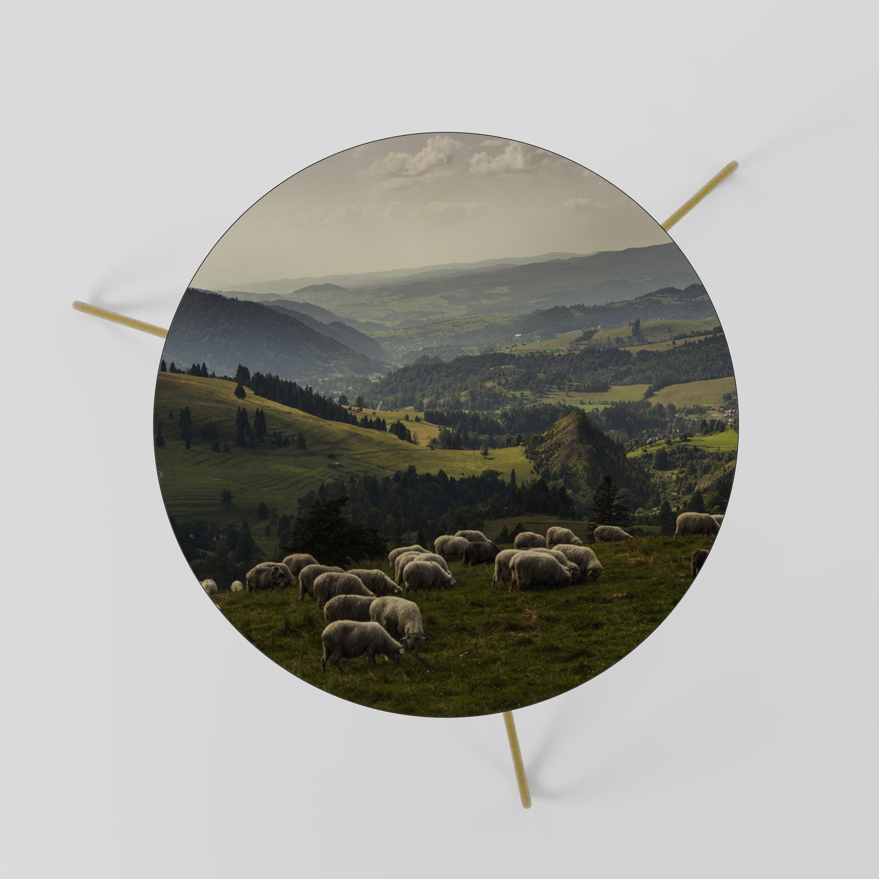 Table basse SHEEP IN SERENITY 60