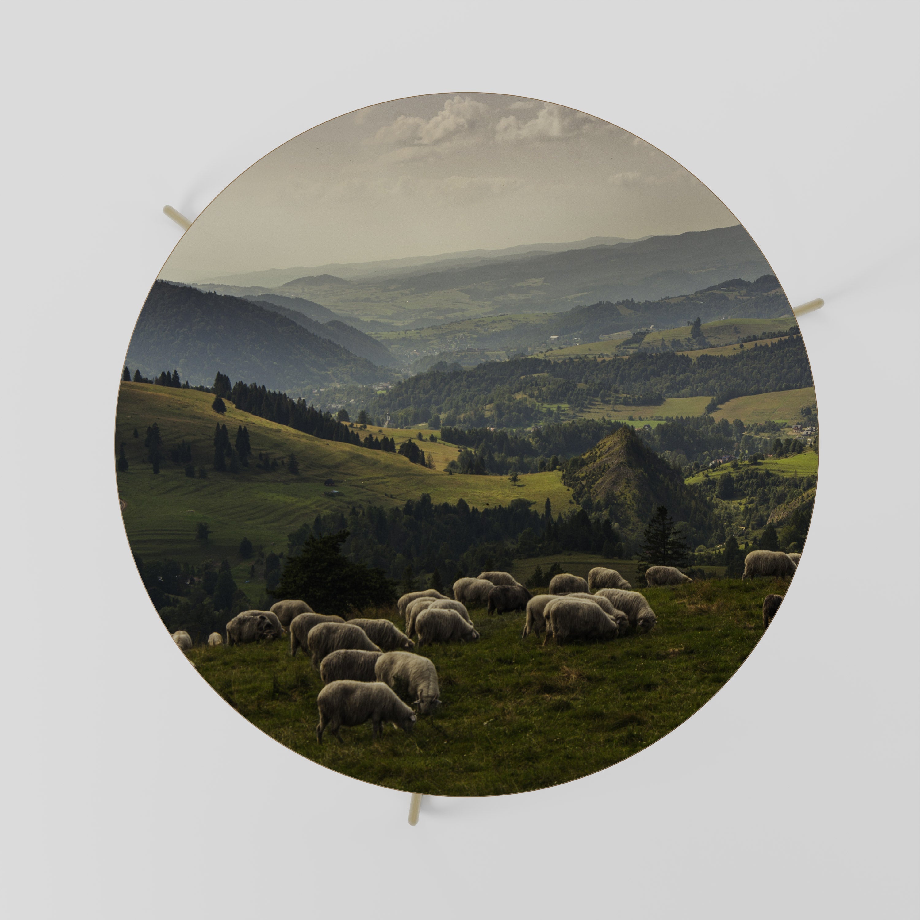 Table basse SHEEP IN SERENITY 69