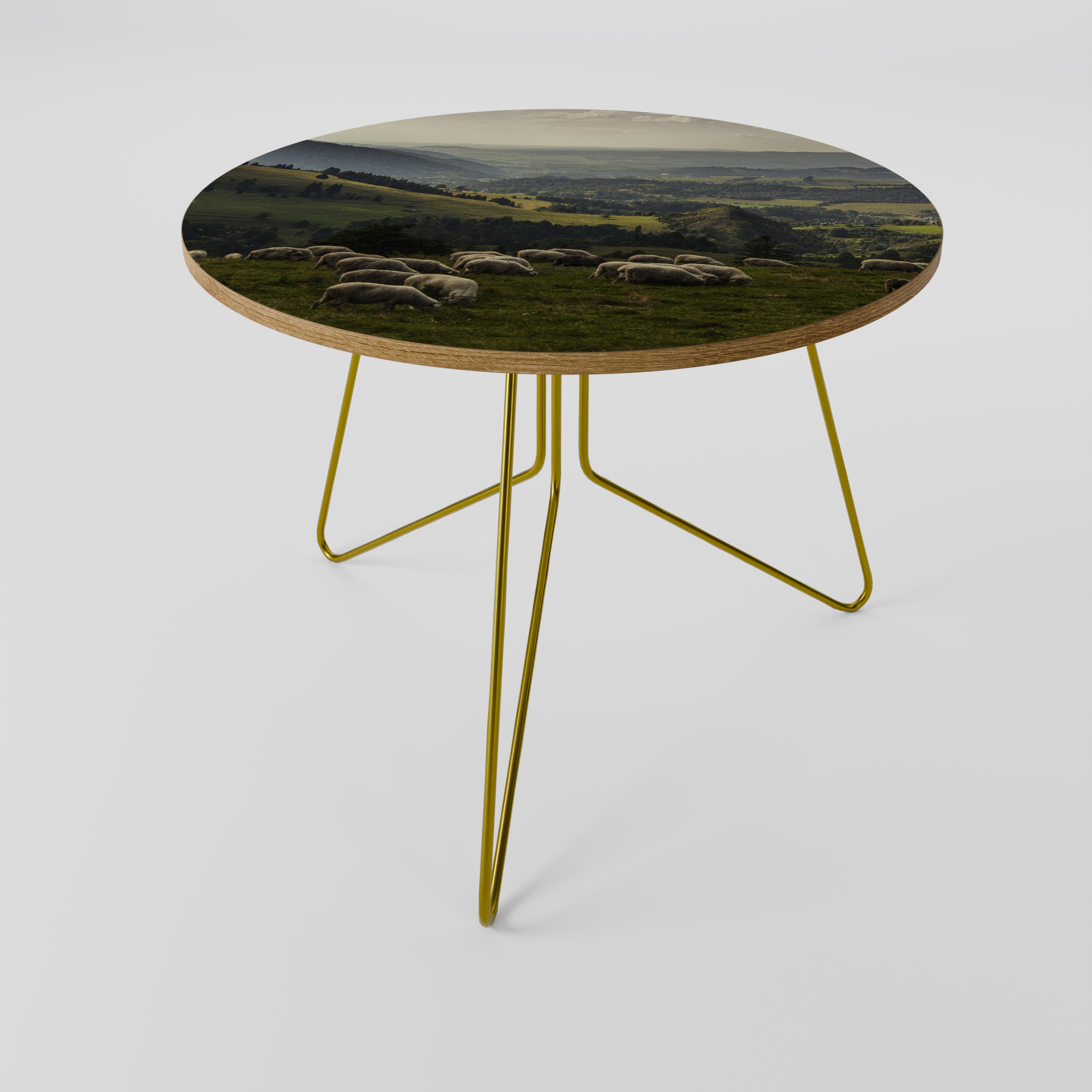 SHEEP IN SERENITY Coffee Table