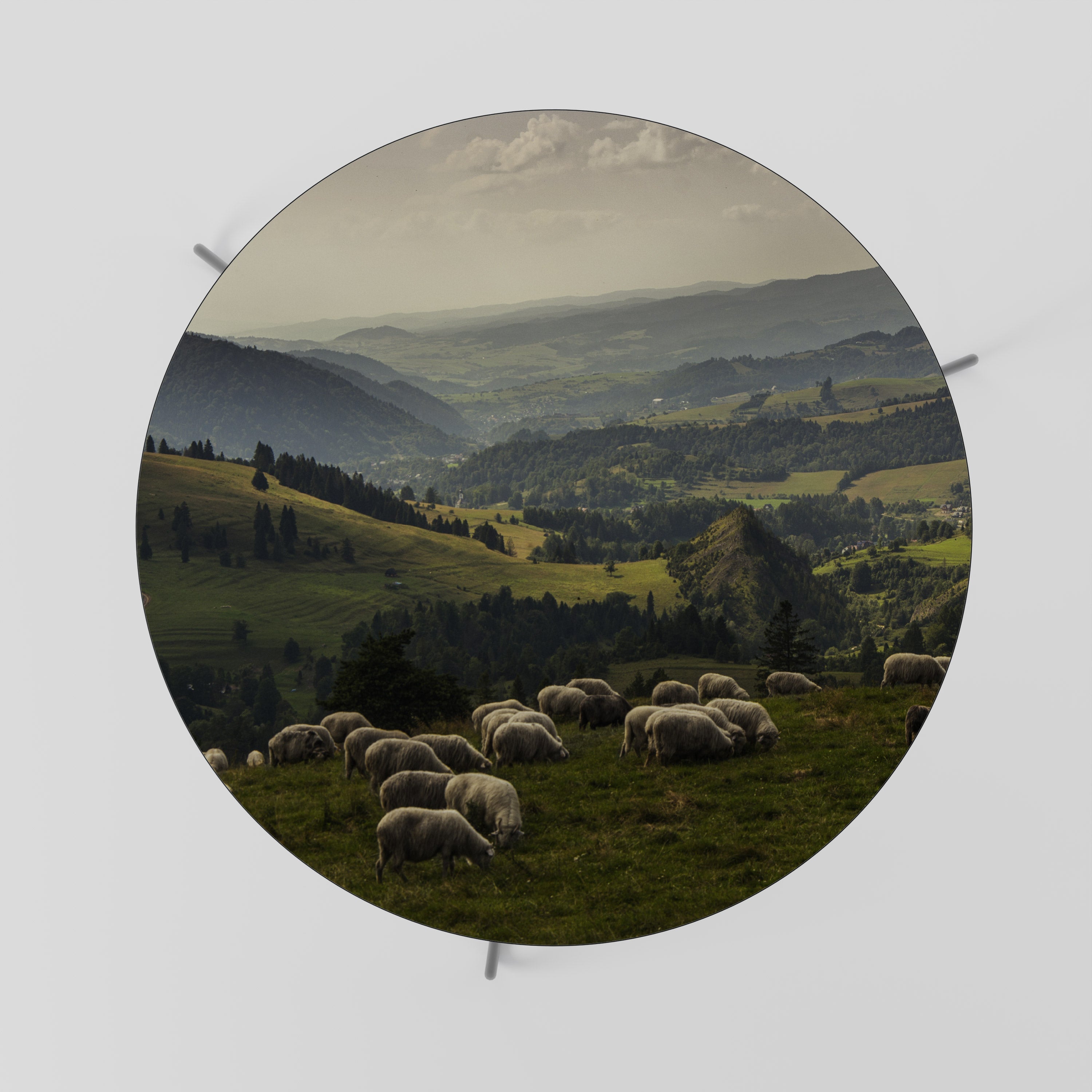 Table basse SHEEP IN SERENITY 69