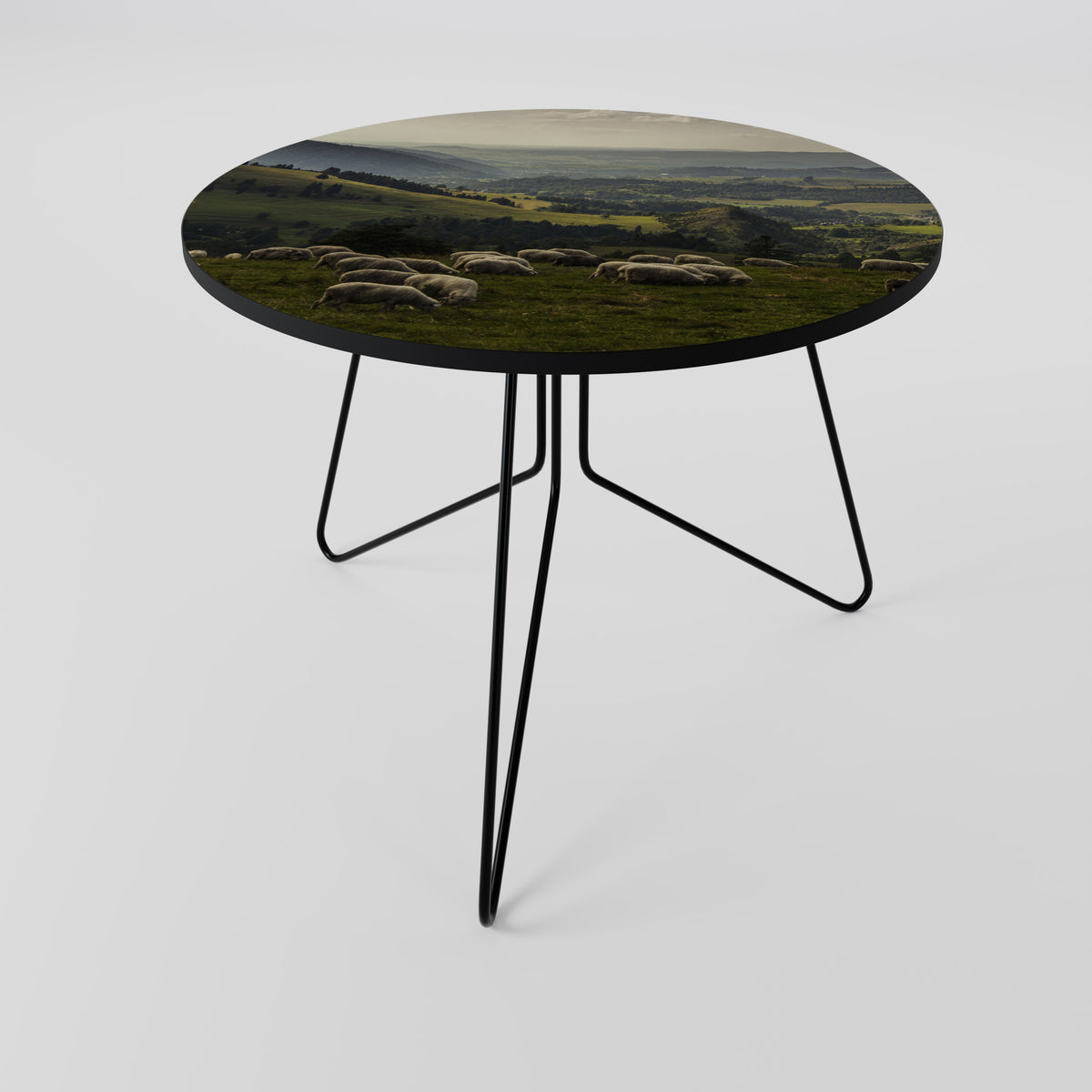 SHEEP IN SERENITY Coffee Table