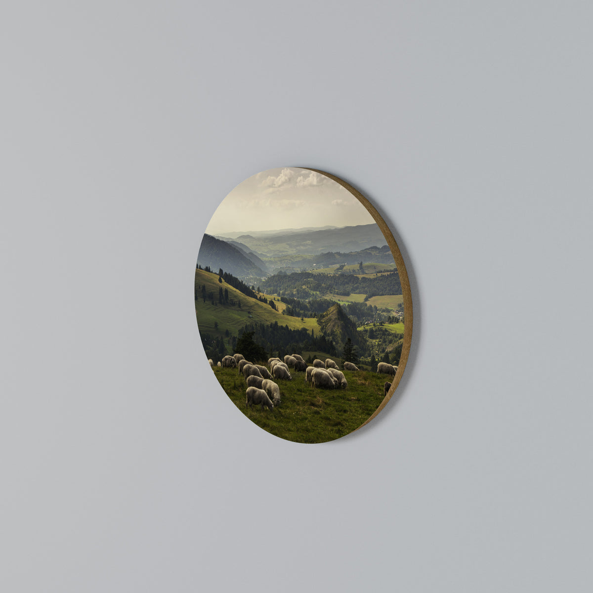 SHEEP IN SERENITY Round Wall Art