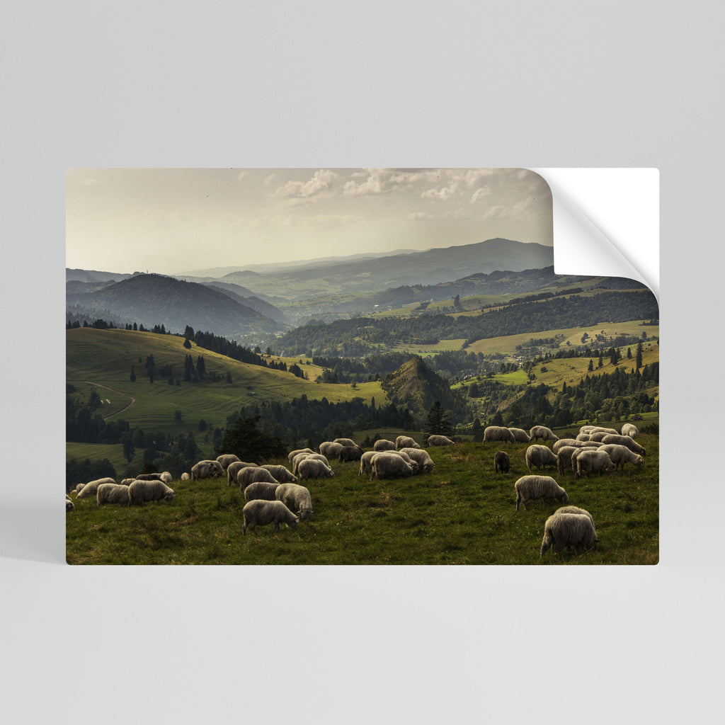 Affiche horizontale autocollante « MOUTONS EN SÉRÉNITÉ »