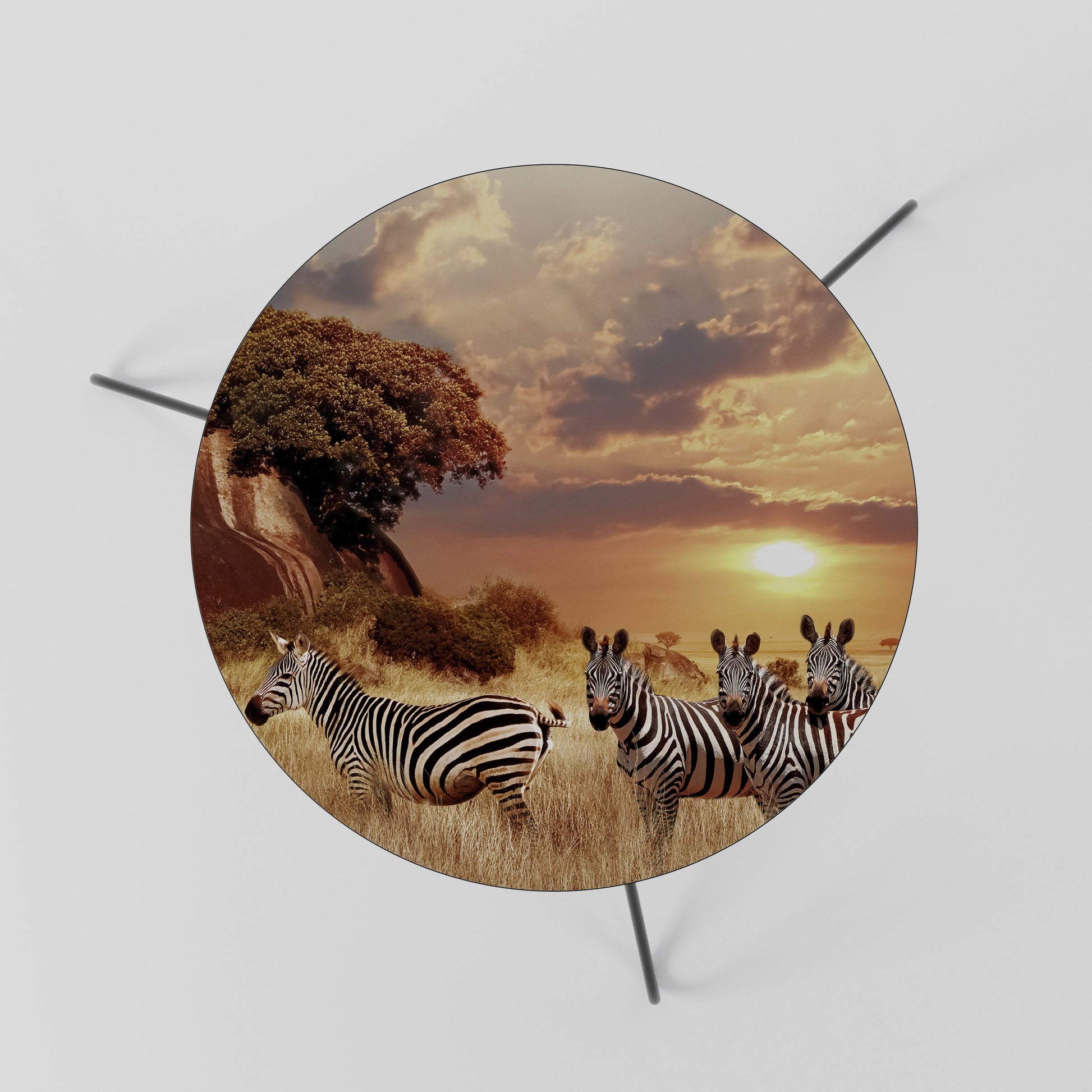 Table basse ZEBRA SUNSET SERENADE 60