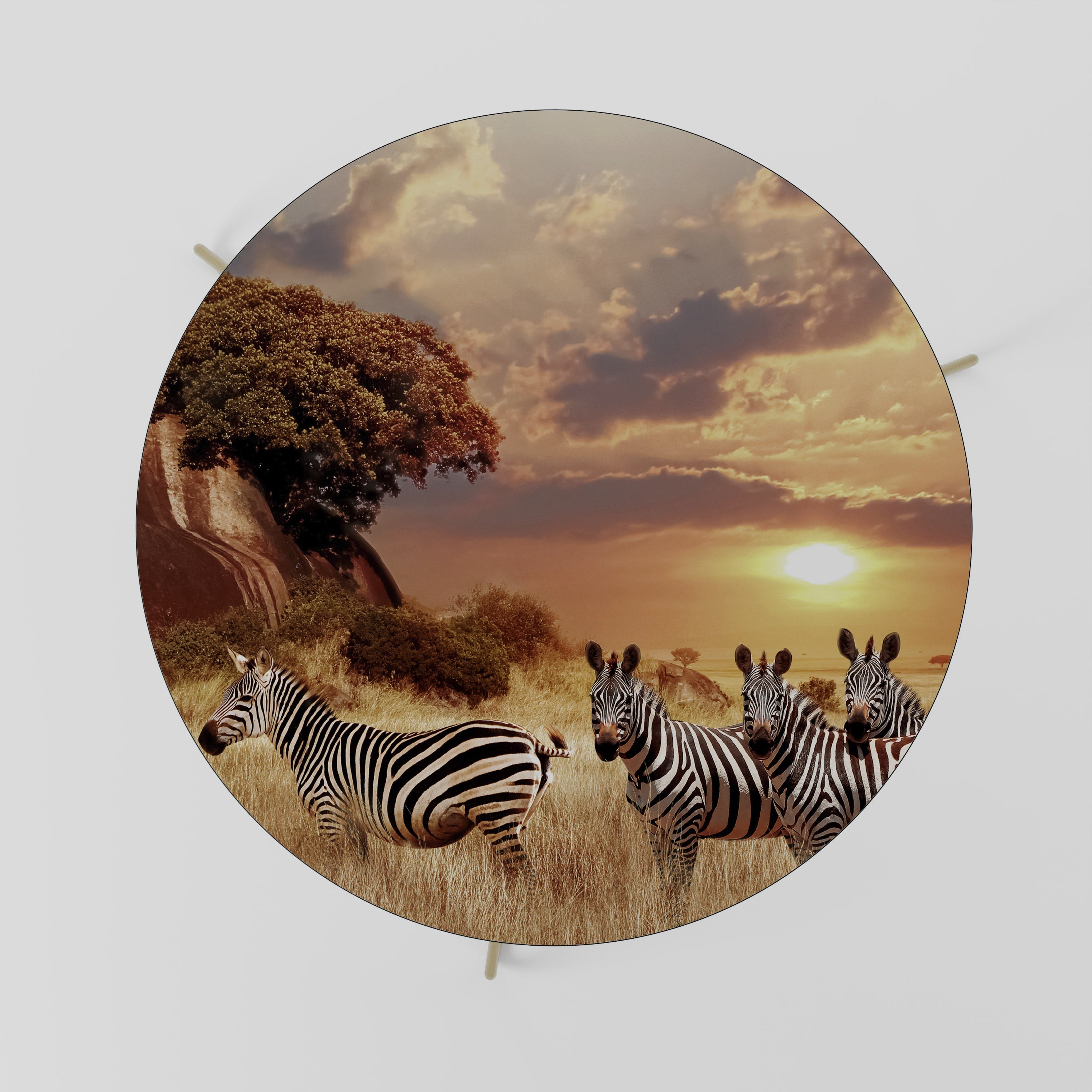 Table basse ZEBRA SUNSET SERENADE 69
