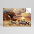 ZEBRA SUNSET SERENADE Peel and Stick Horizontal Poster
