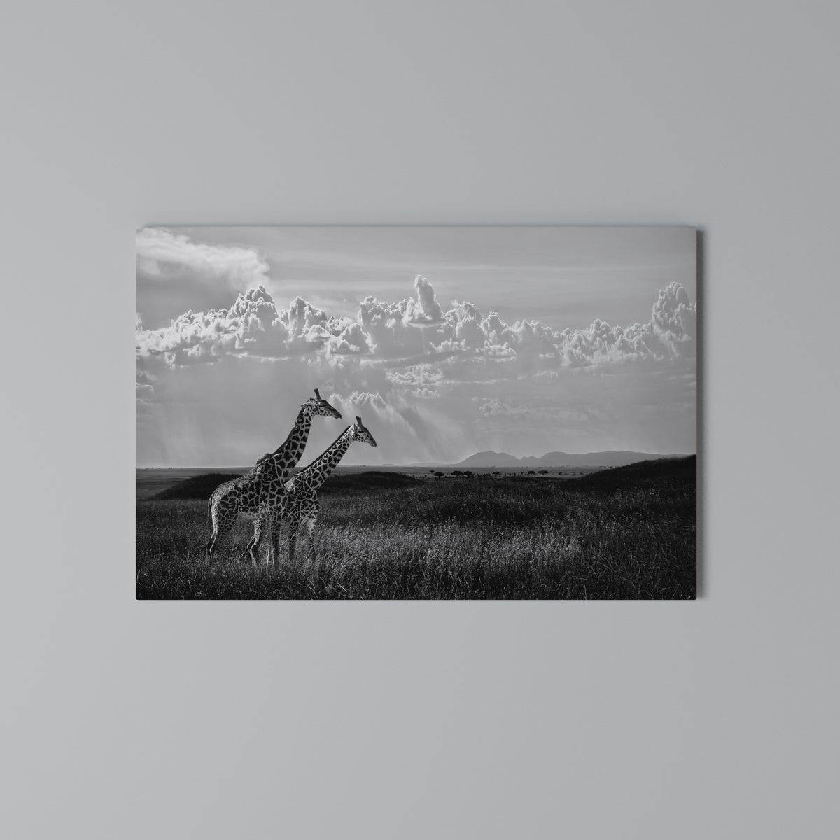 ELEGANT HEIGHTS UNVEILED Horizontal Canvas Print