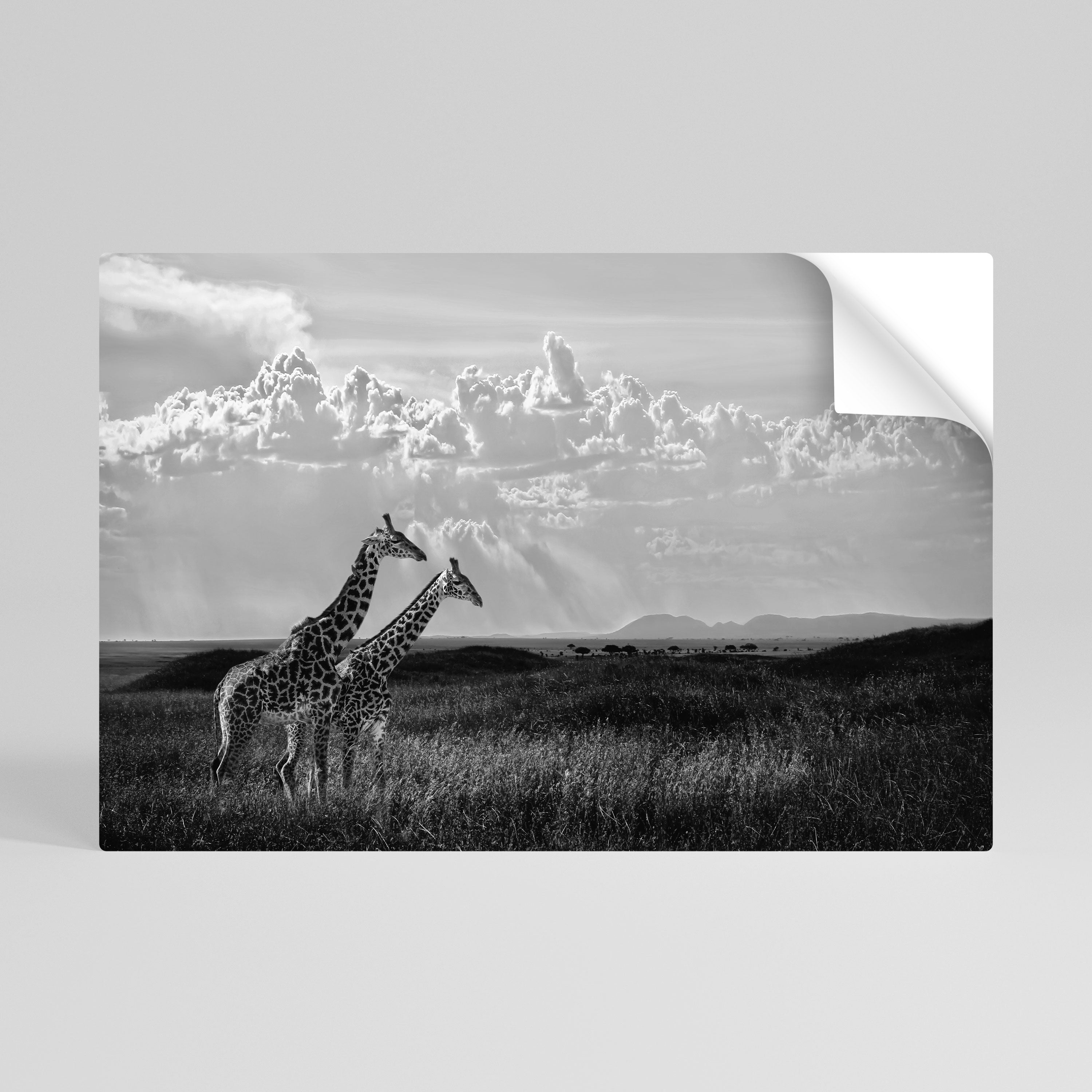 Affiche horizontale autocollante « ELEGANT HEIGHTS » dévoilée