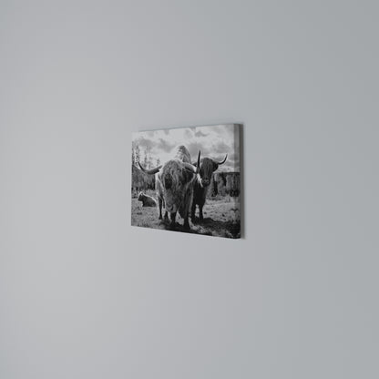STILLNESS OF OLD SOULS Horizontal Canvas Print