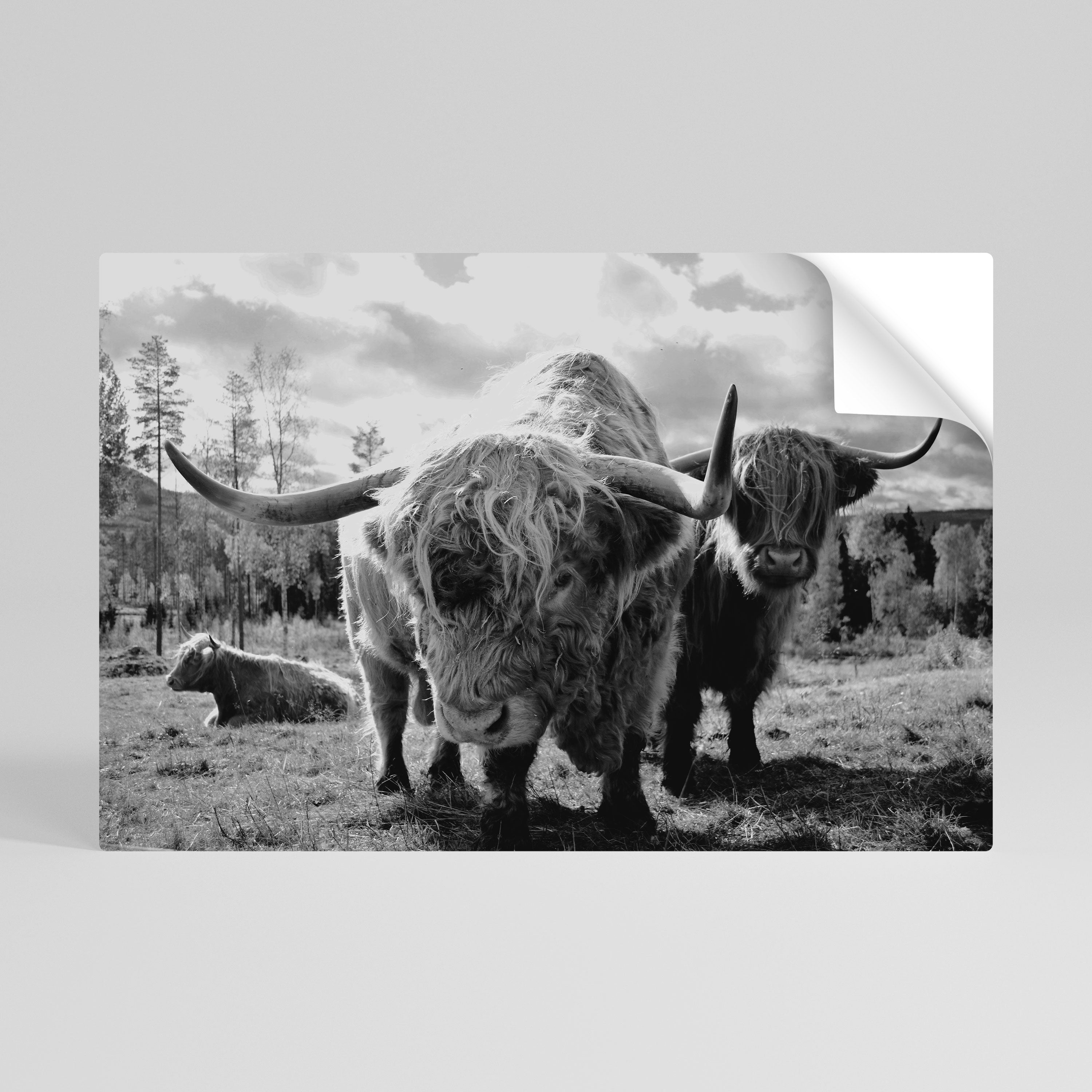 Affiche horizontale autocollante « Calme des vieilles âmes »