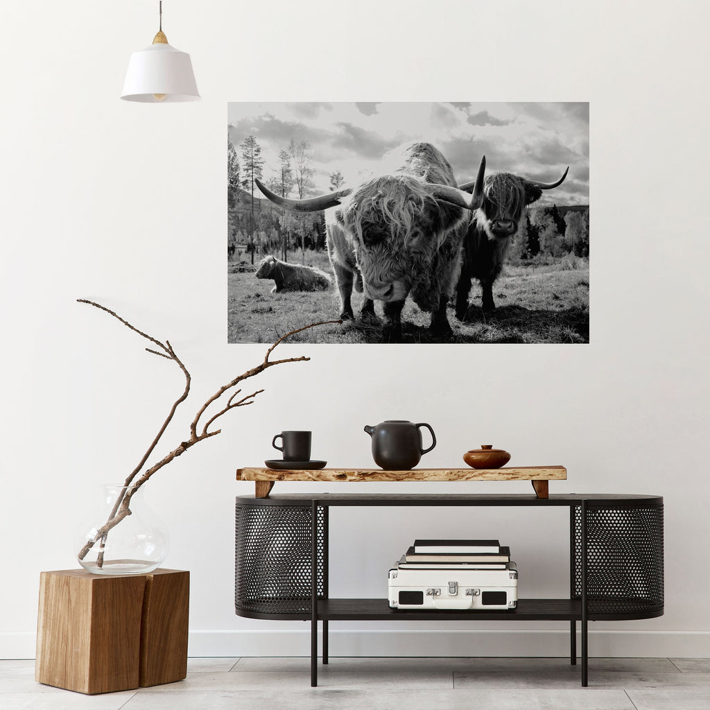 Affiche horizontale autocollante « Calme des vieilles âmes »