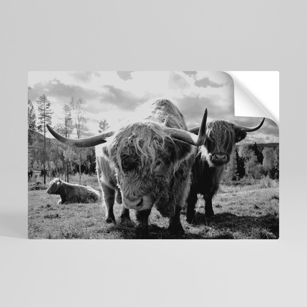 Affiche horizontale autocollante « Calme des vieilles âmes »