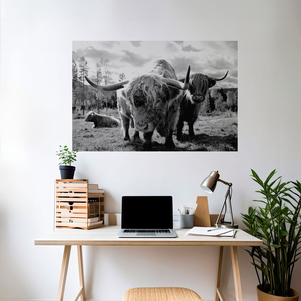 Affiche horizontale autocollante « Calme des vieilles âmes »