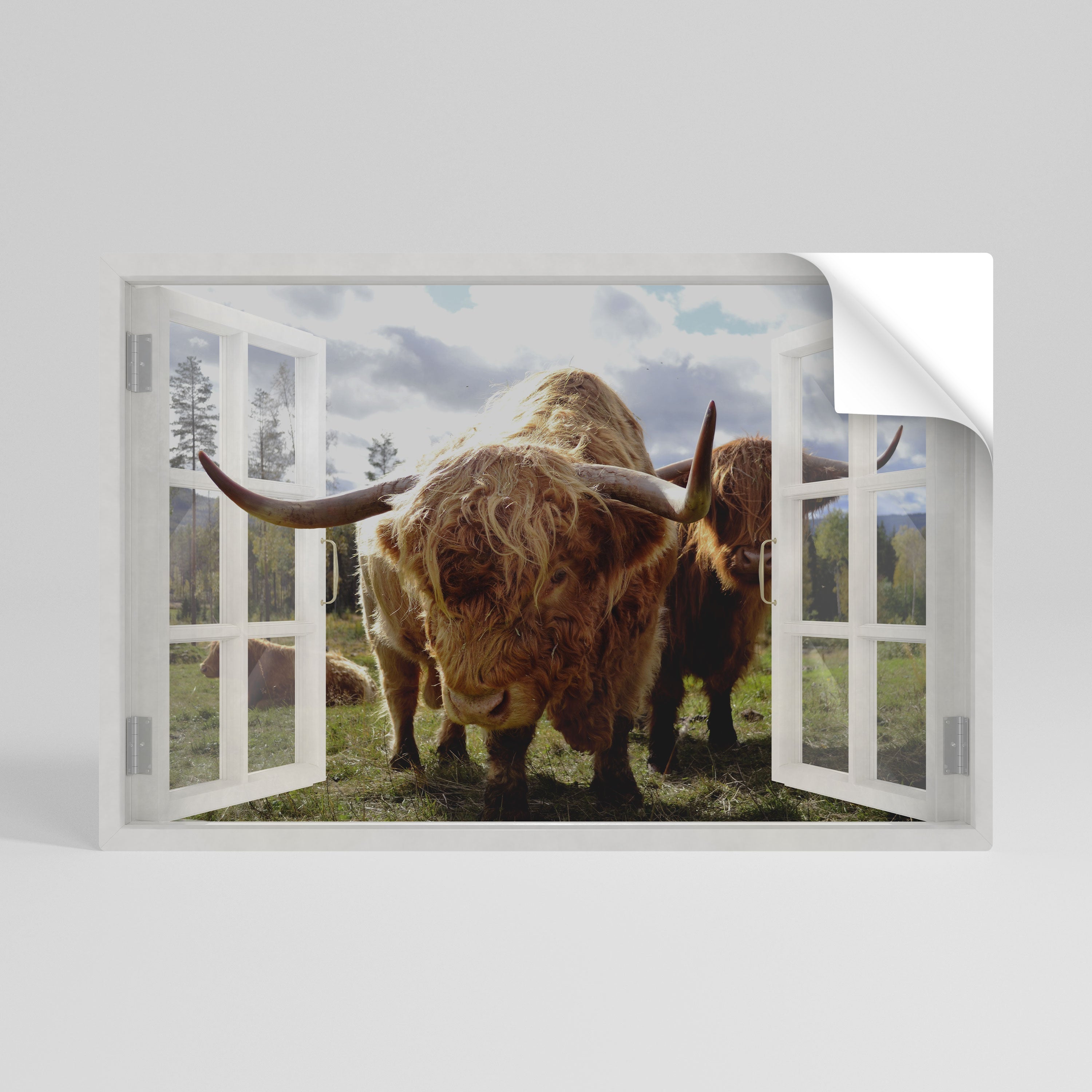 Affiche horizontale autocollante BOVINE WINDOW VISTA