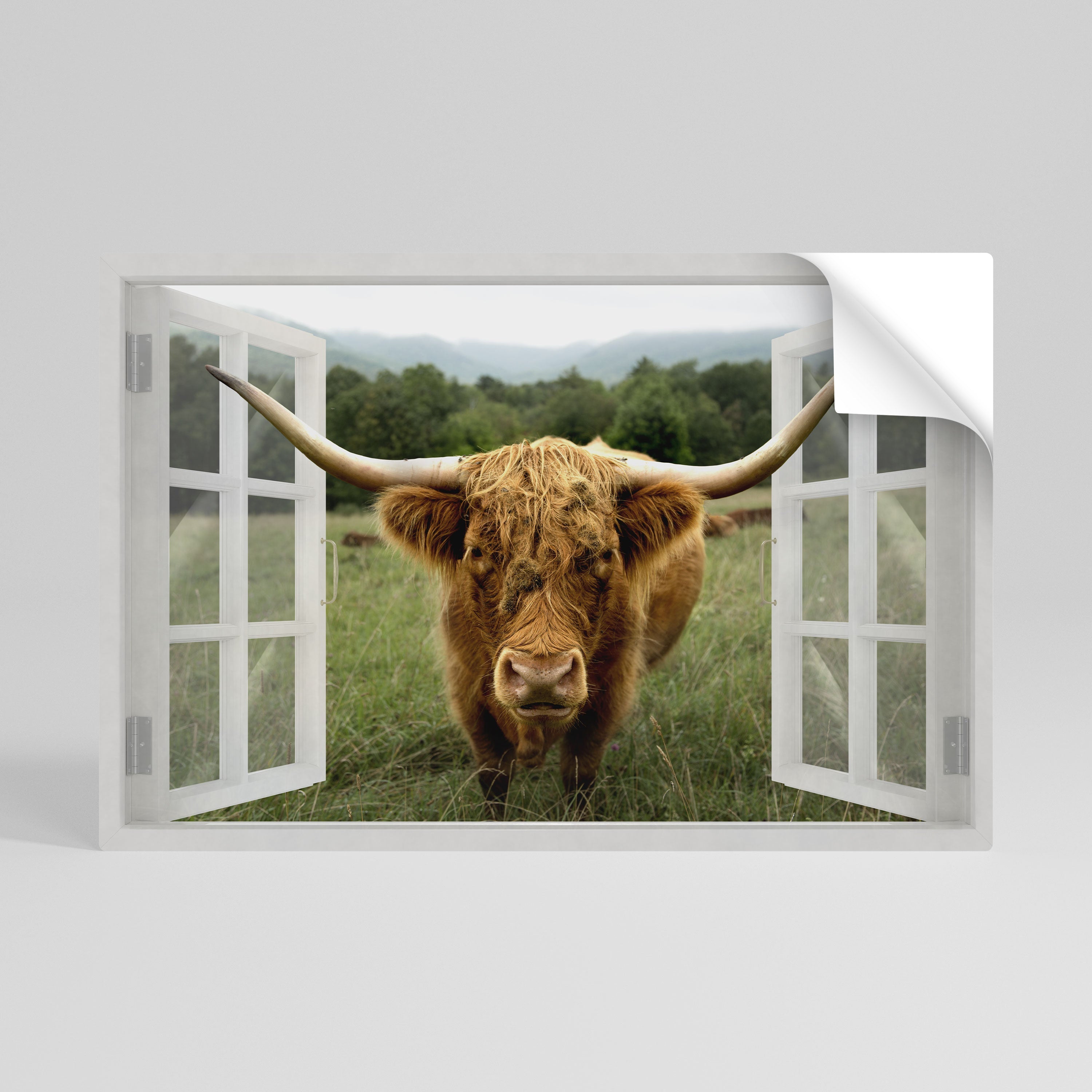 Affiche horizontale autocollante FIELDS OF FOCUS