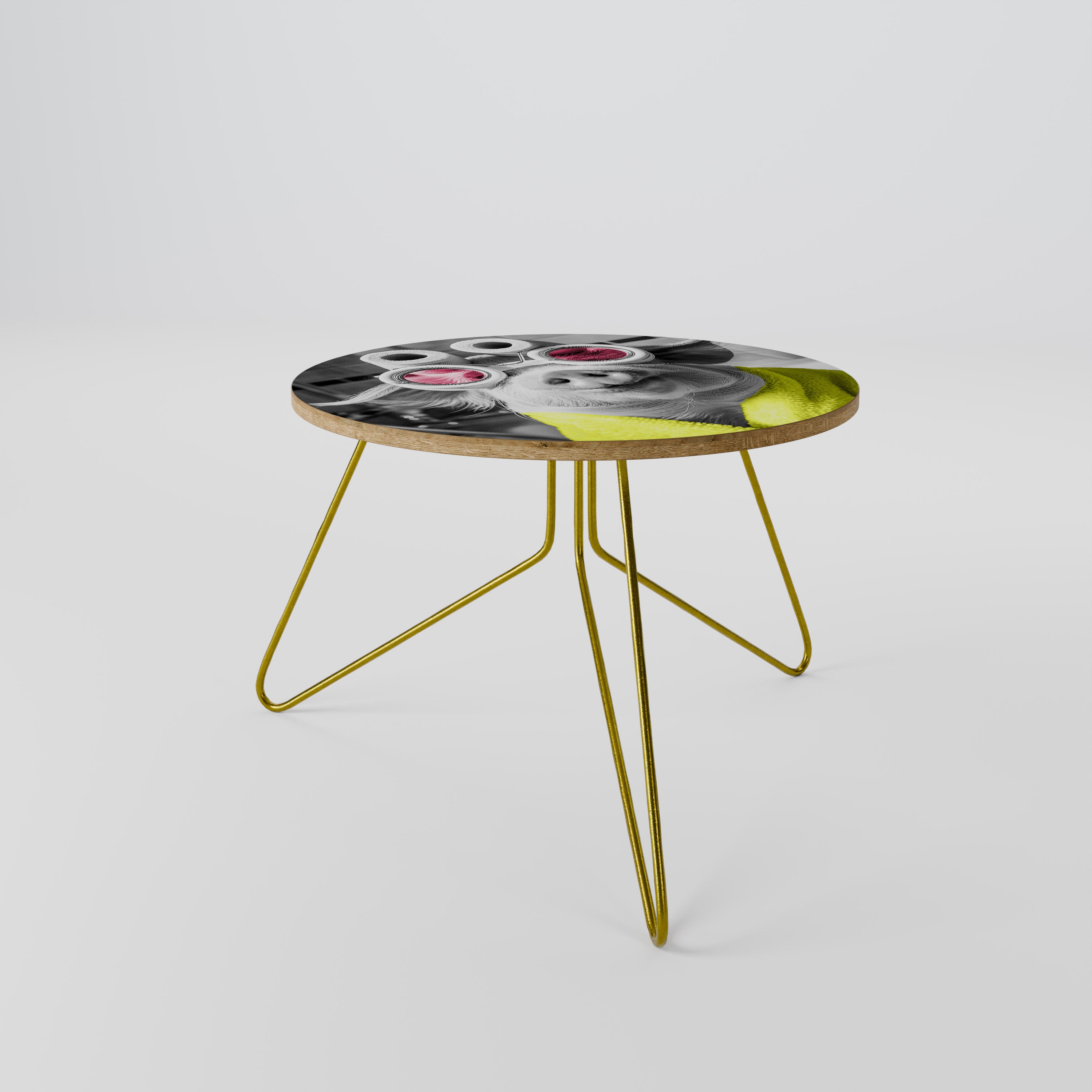 MORNING PIGLET Coffee Table