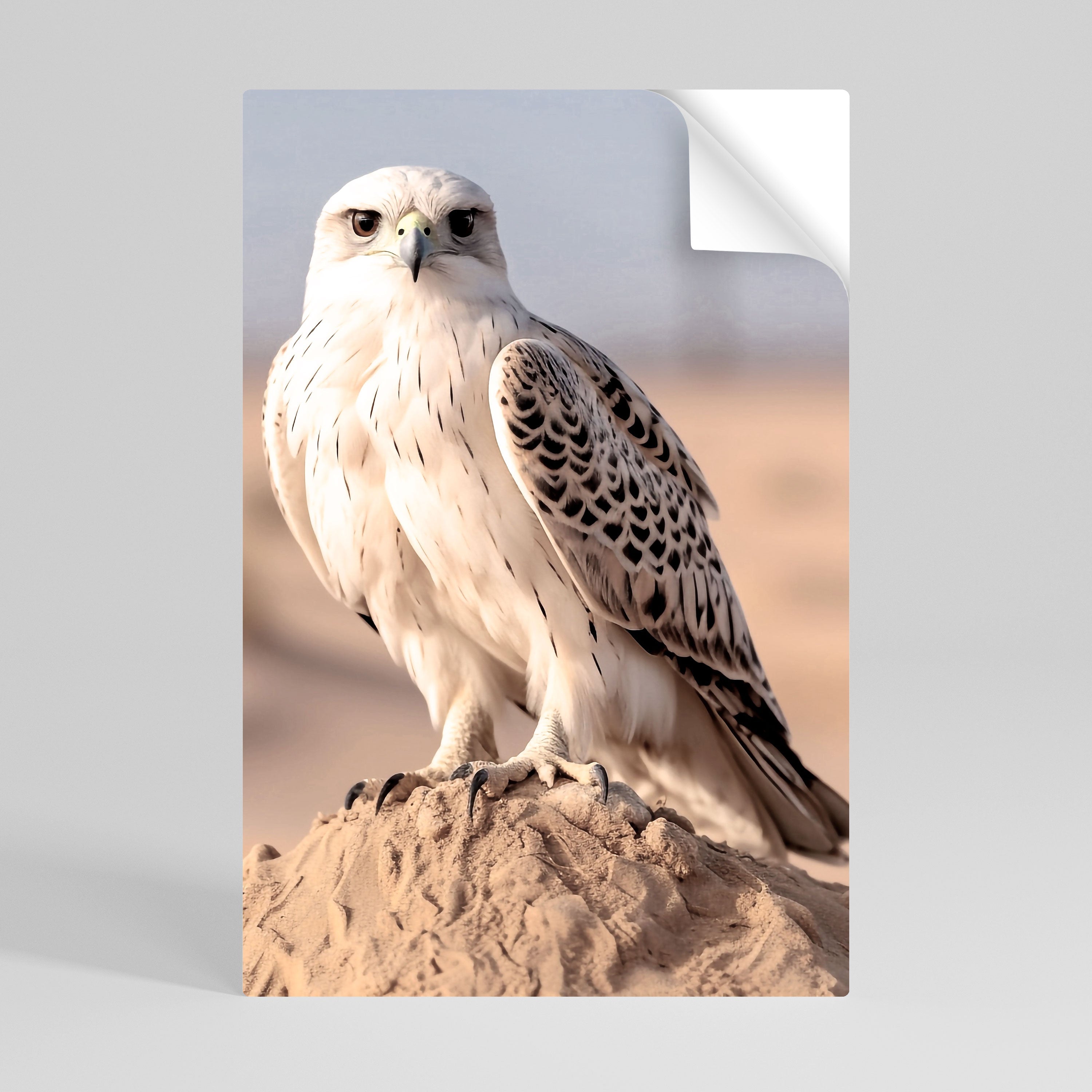 Affiche verticale autocollante SILENT WINGS OF POWER