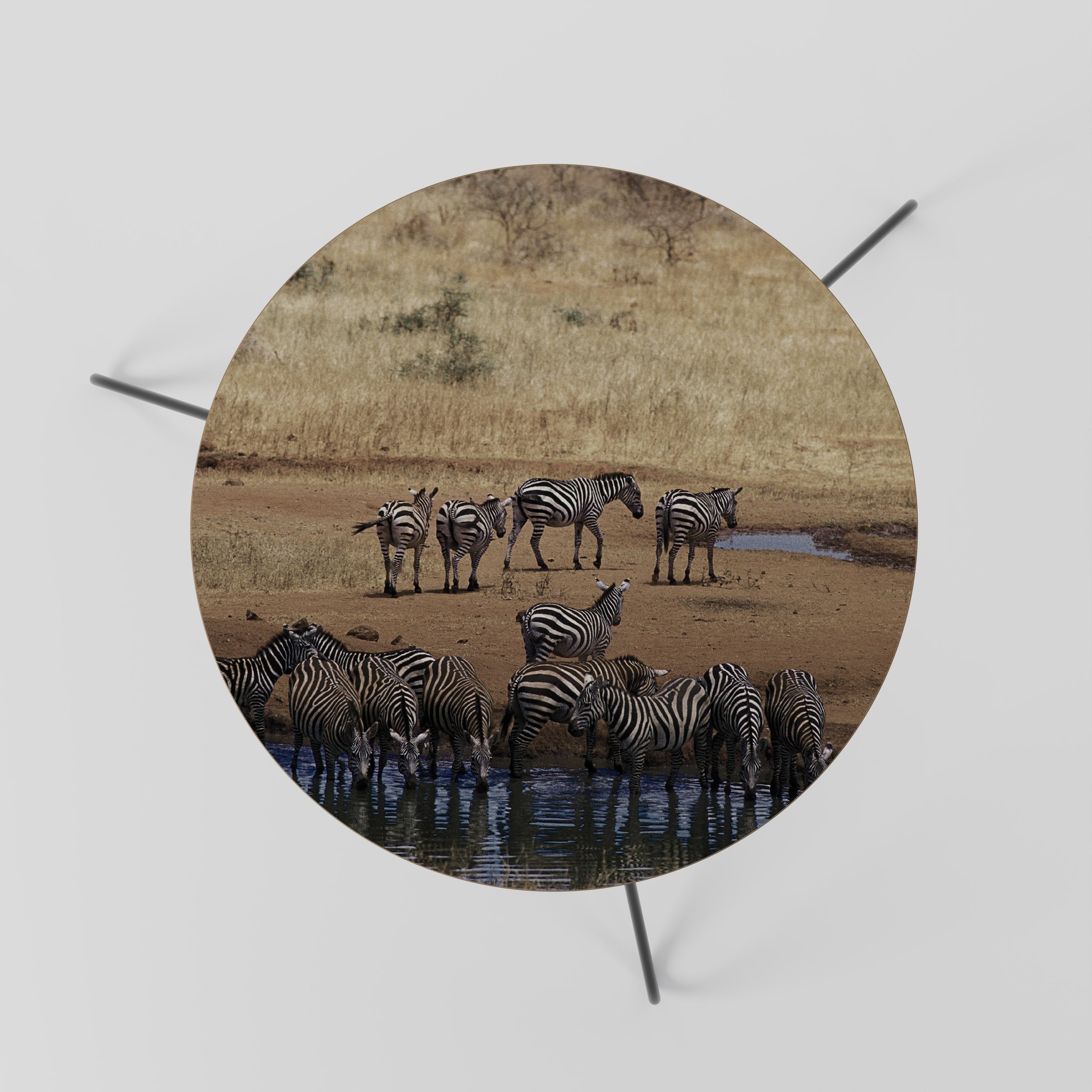 Table basse THE ZEBRA HARMONY 60