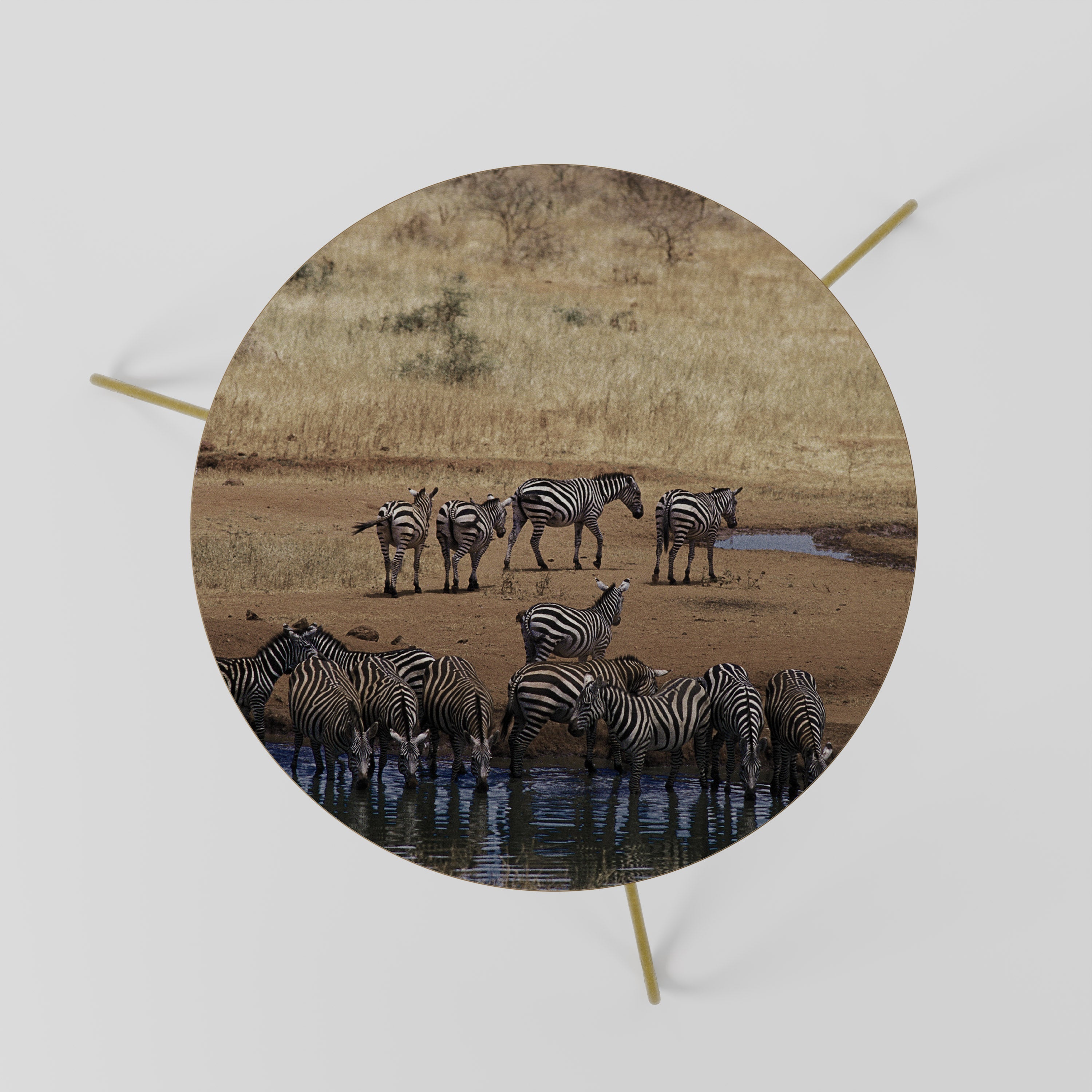 Table basse THE ZEBRA HARMONY 60