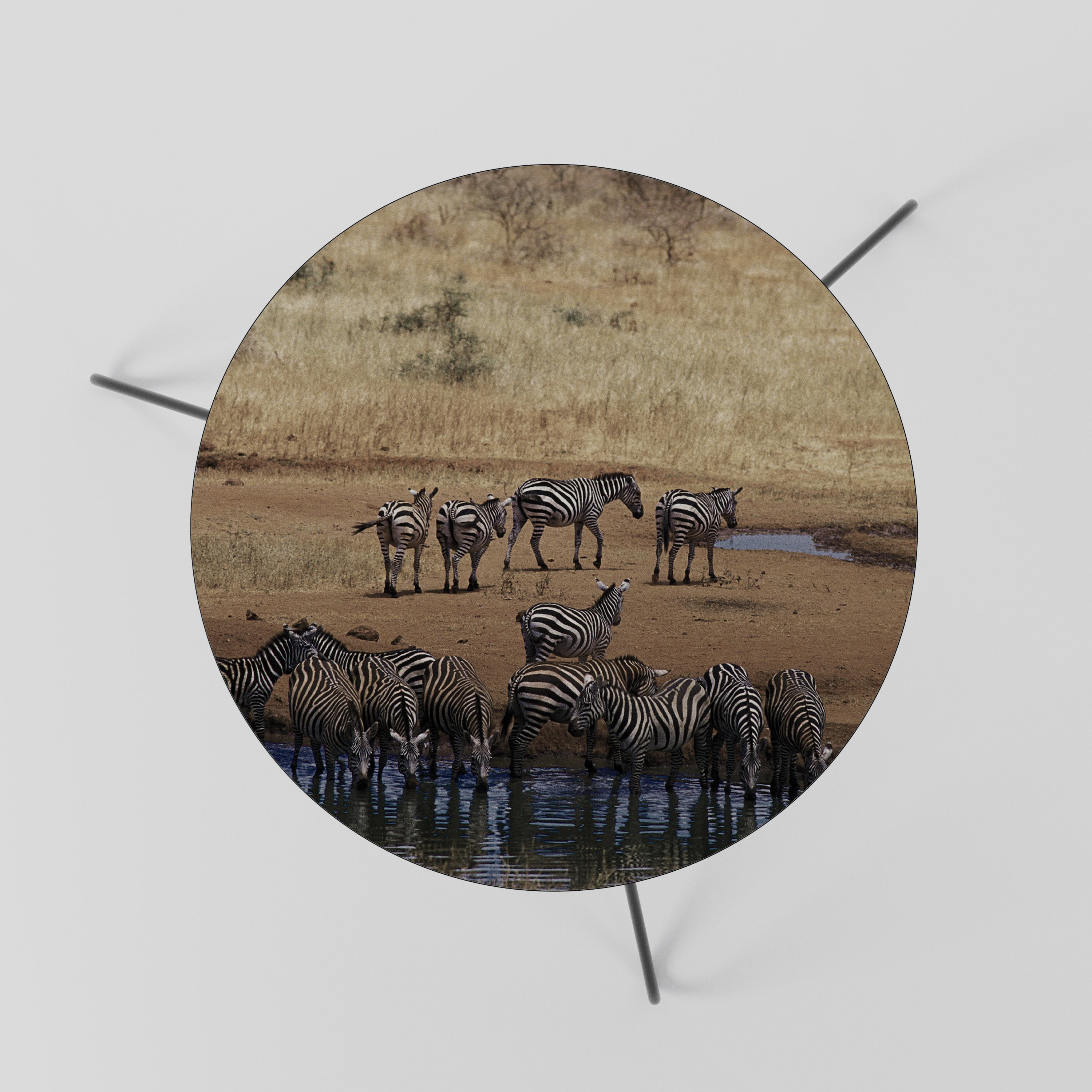 Table basse THE ZEBRA HARMONY 60