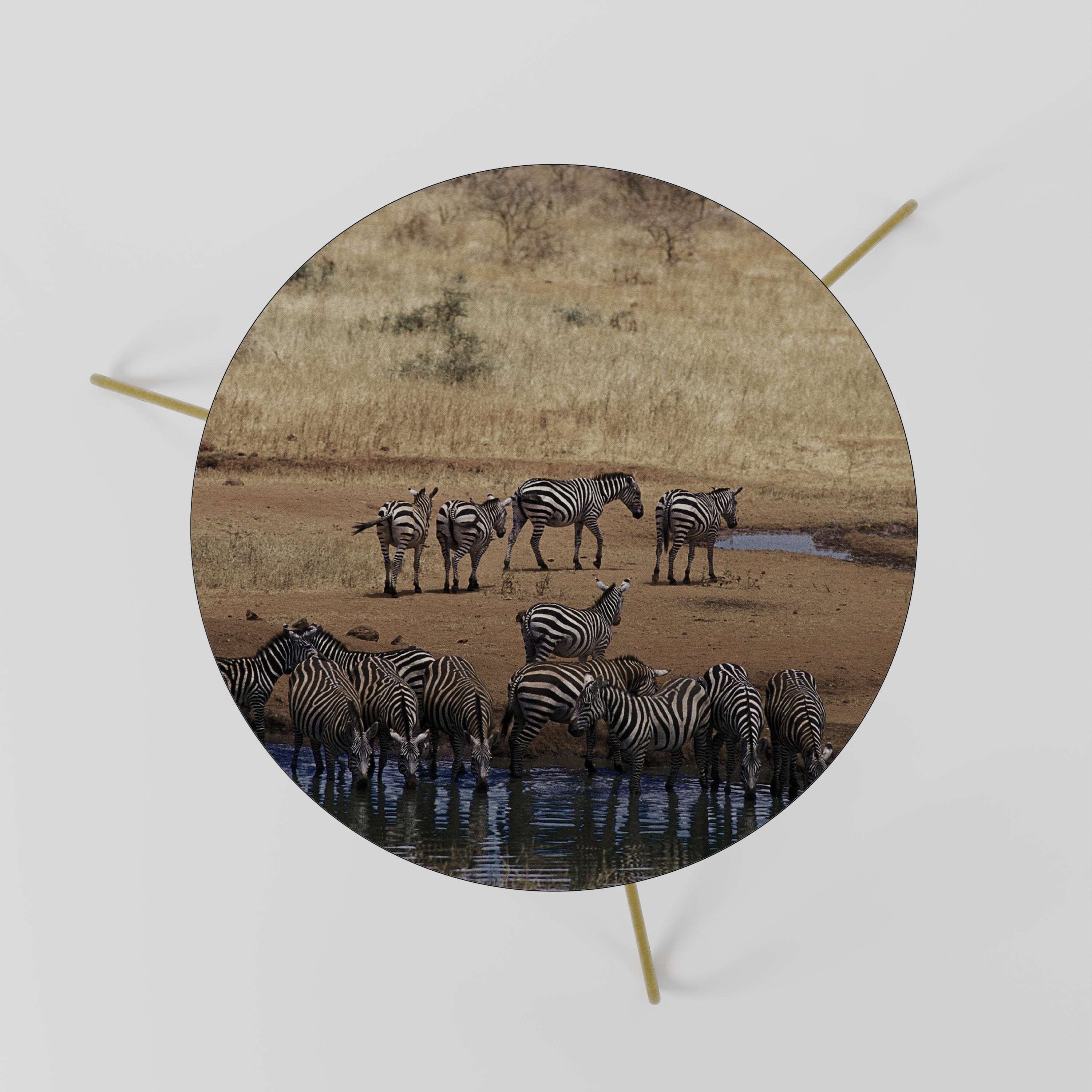 Table basse THE ZEBRA HARMONY 60