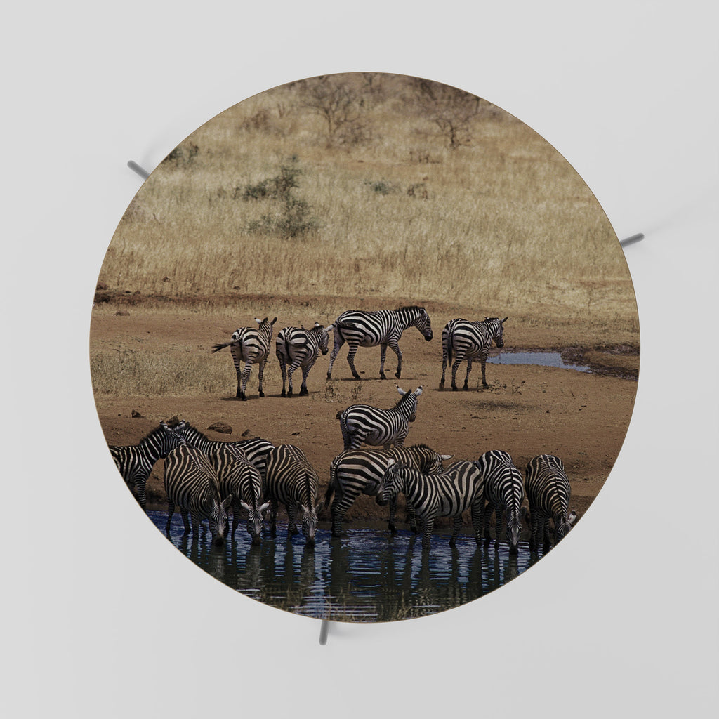 Table basse THE ZEBRA HARMONY 69