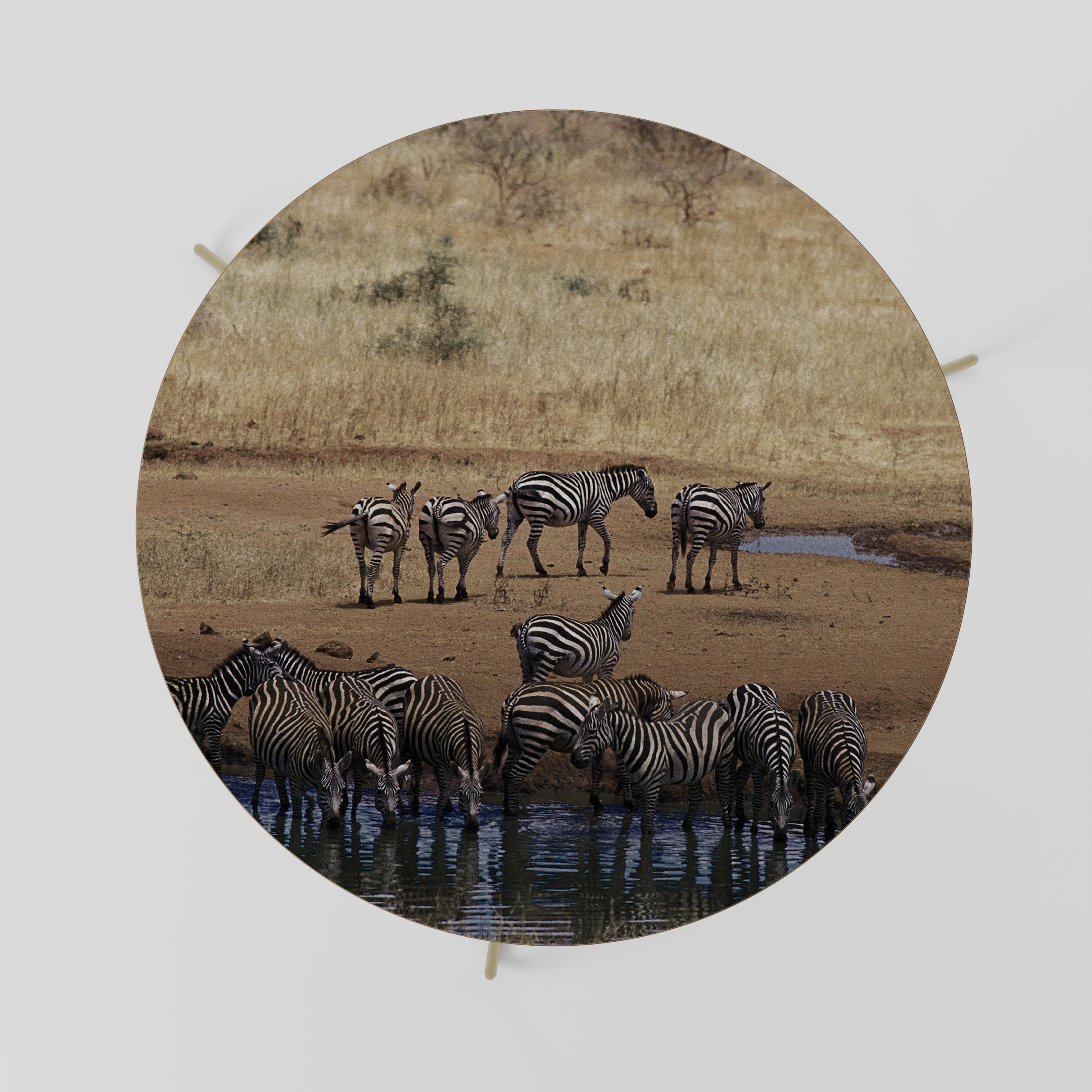 Table basse THE ZEBRA HARMONY 69